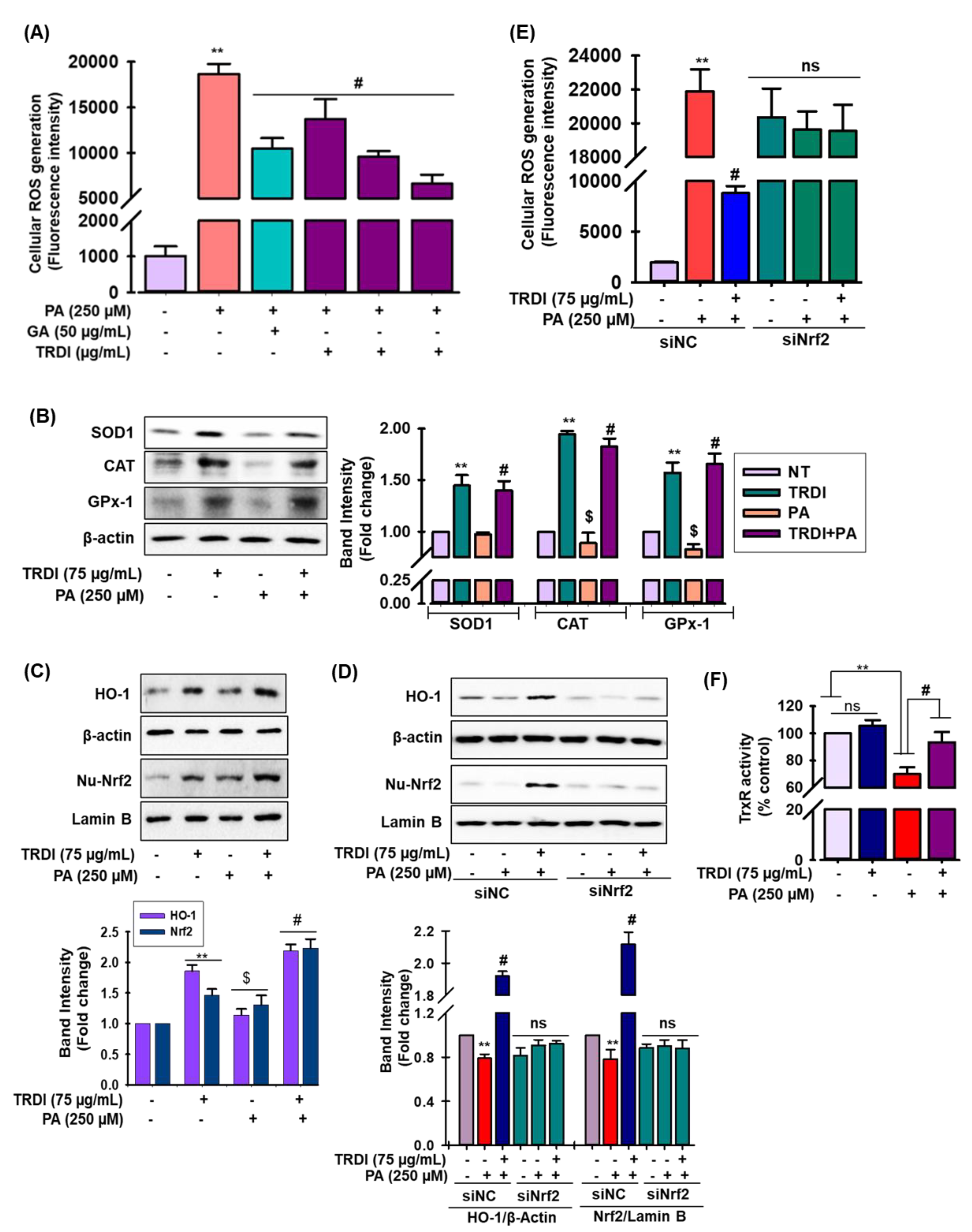 Antioxidants 11 01227 g004