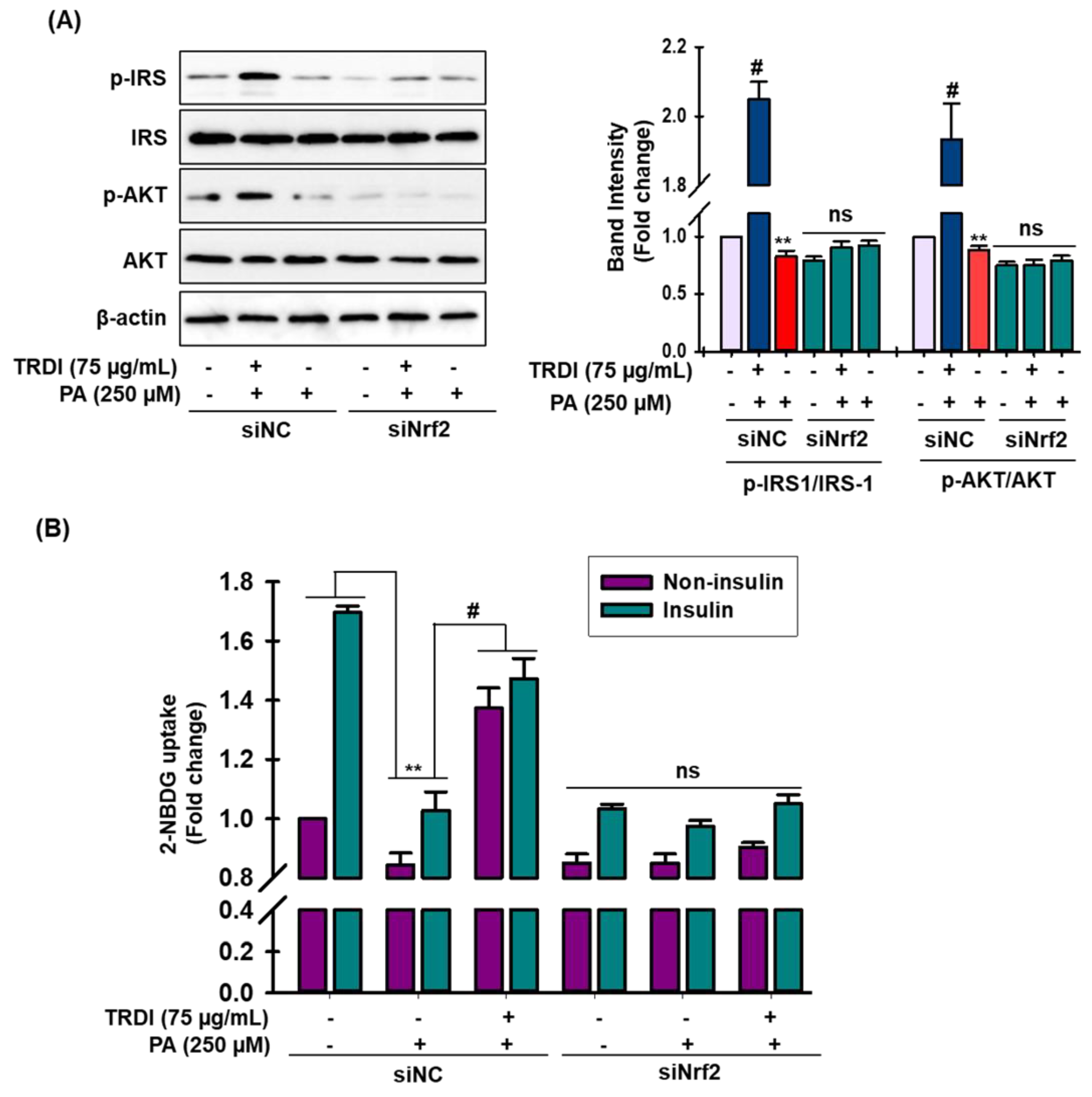 Antioxidants 11 01227 g005
