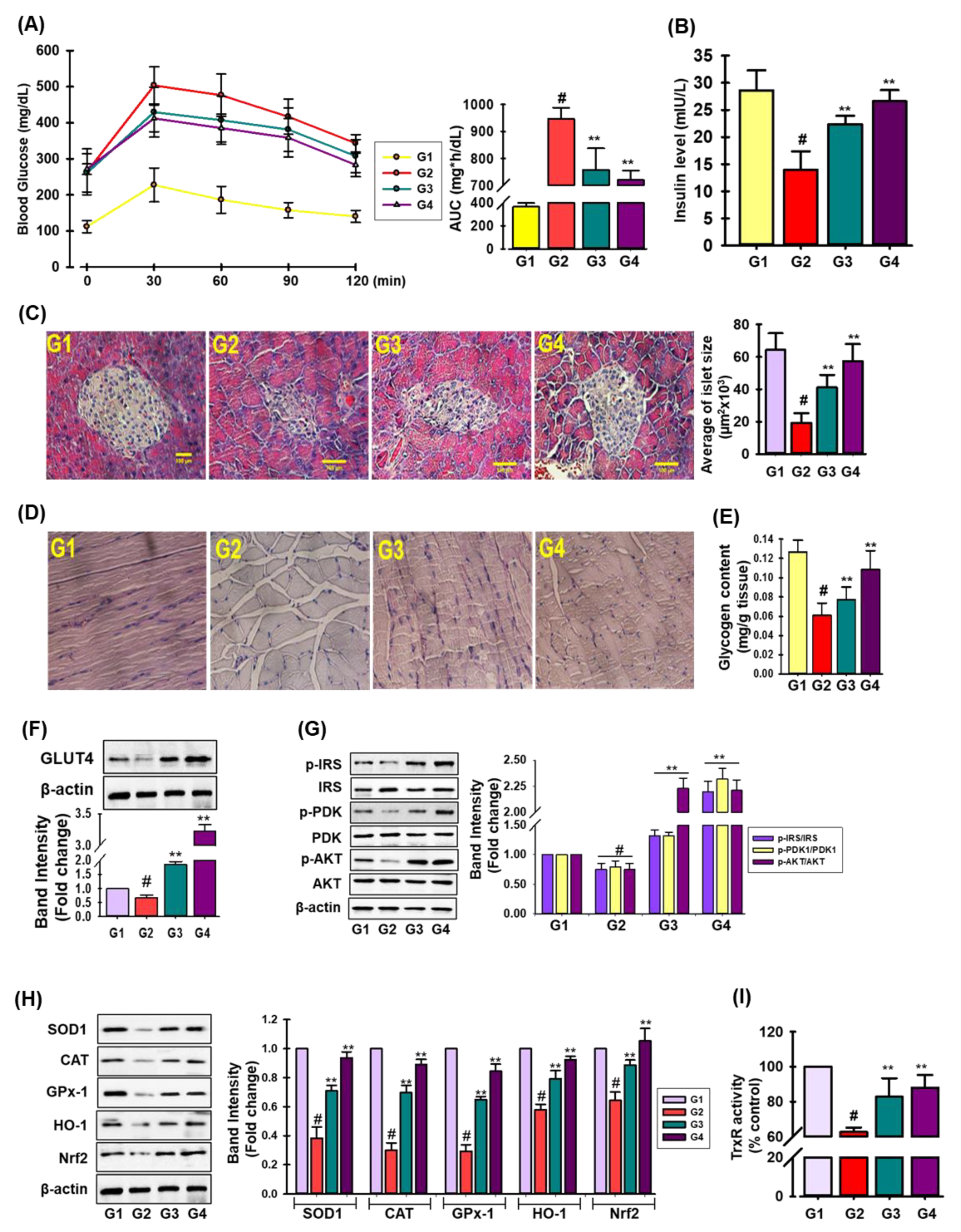 Antioxidants 11 01227 g006