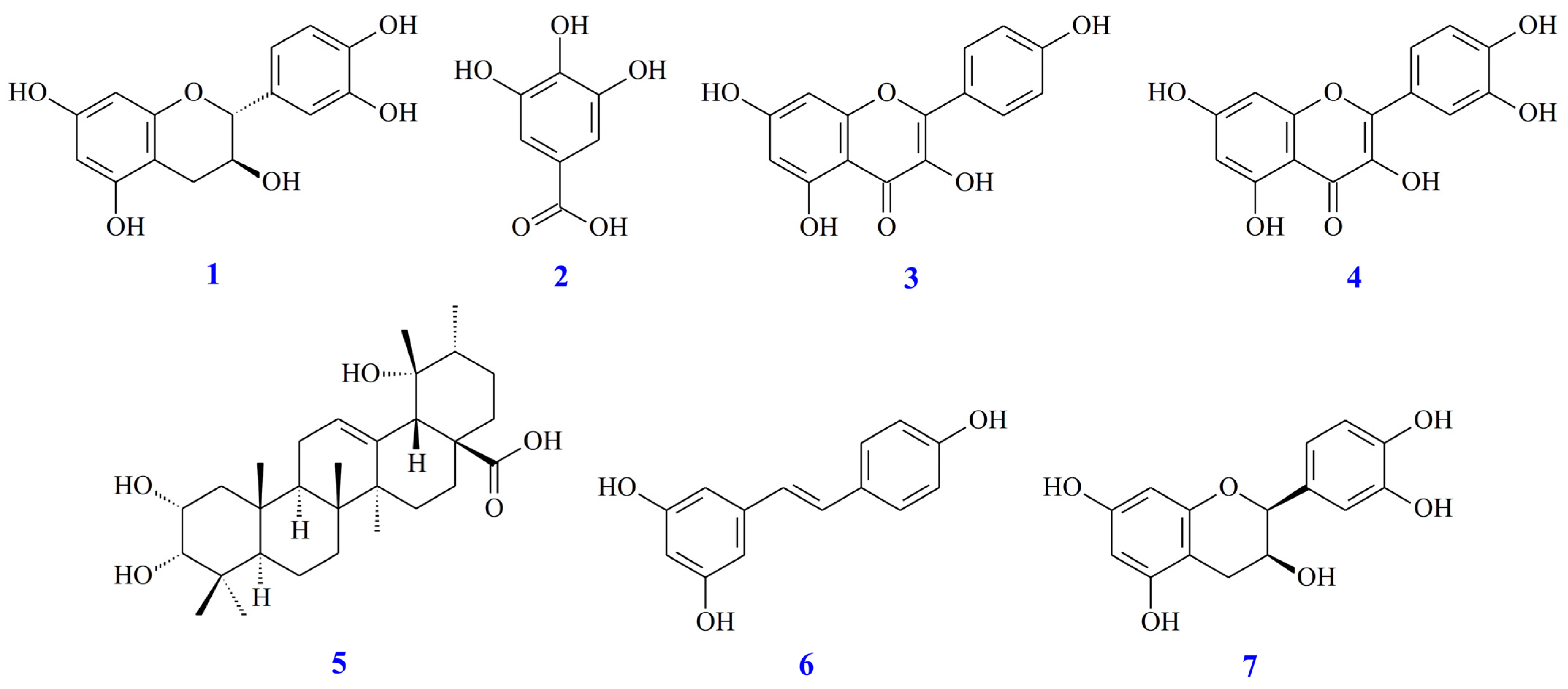 Antioxidants 11 01228 g001