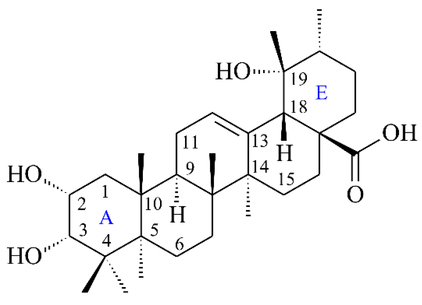 Antioxidants 11 01228 g004