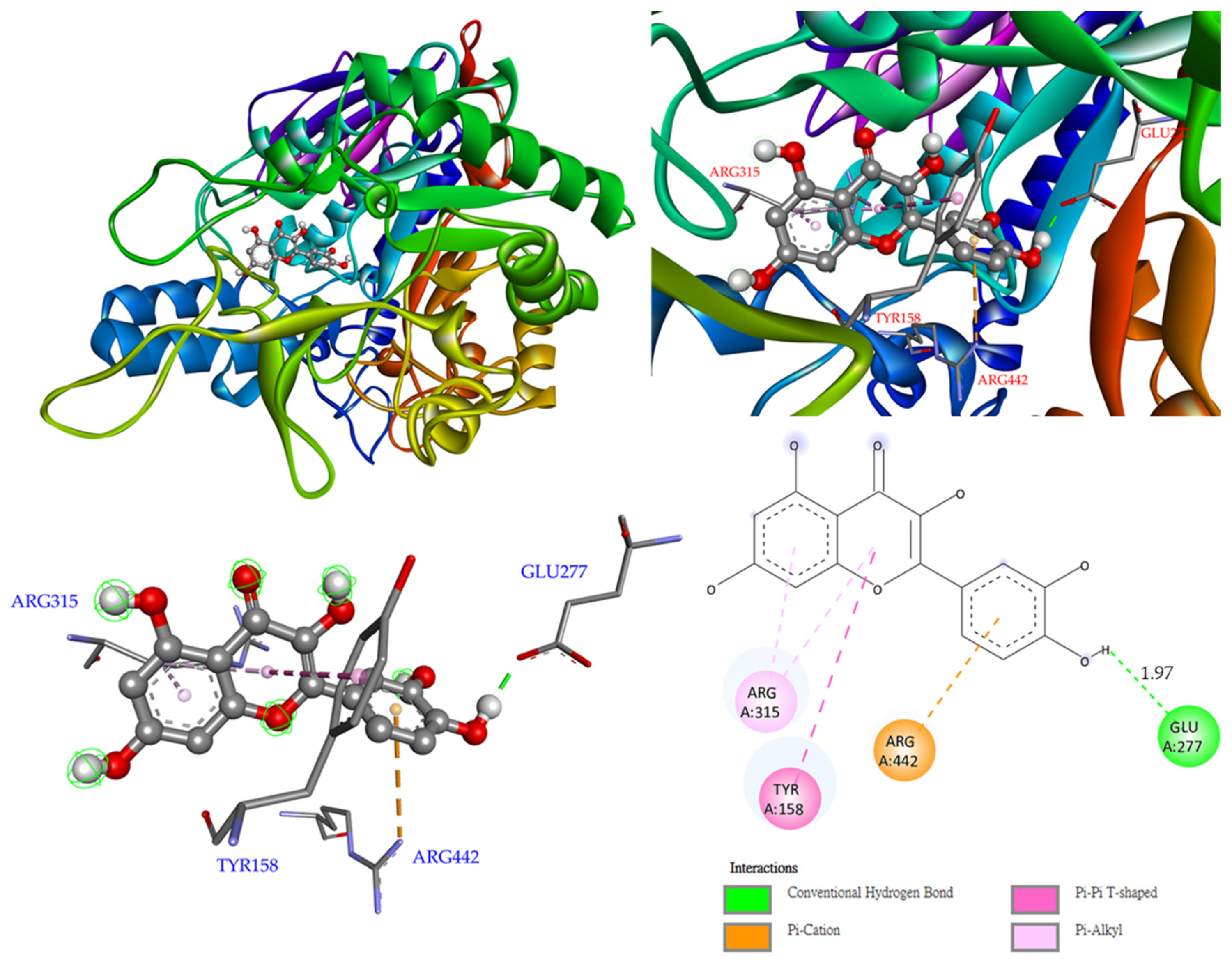 Antioxidants 11 01228 g007