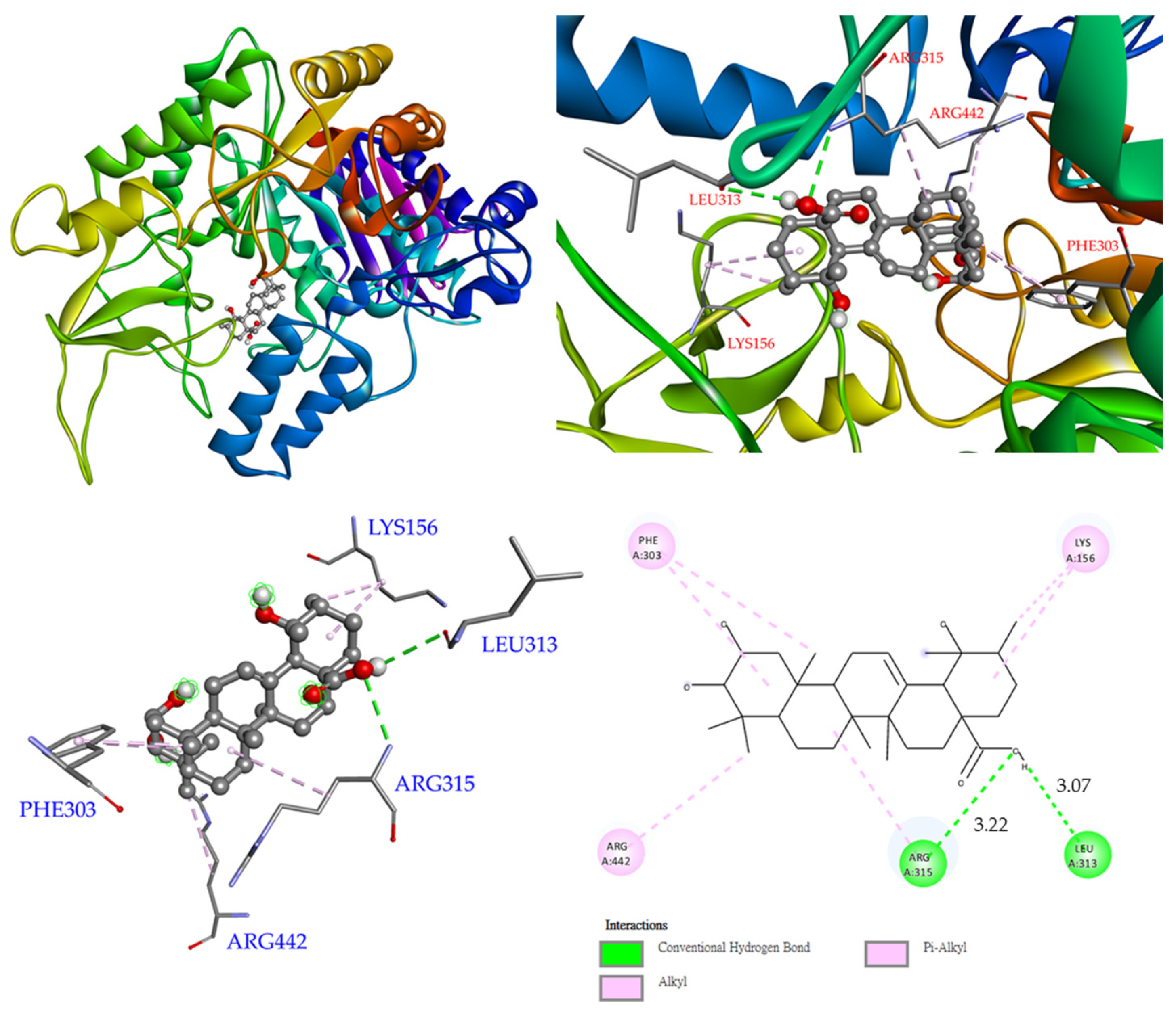 Antioxidants 11 01228 g008