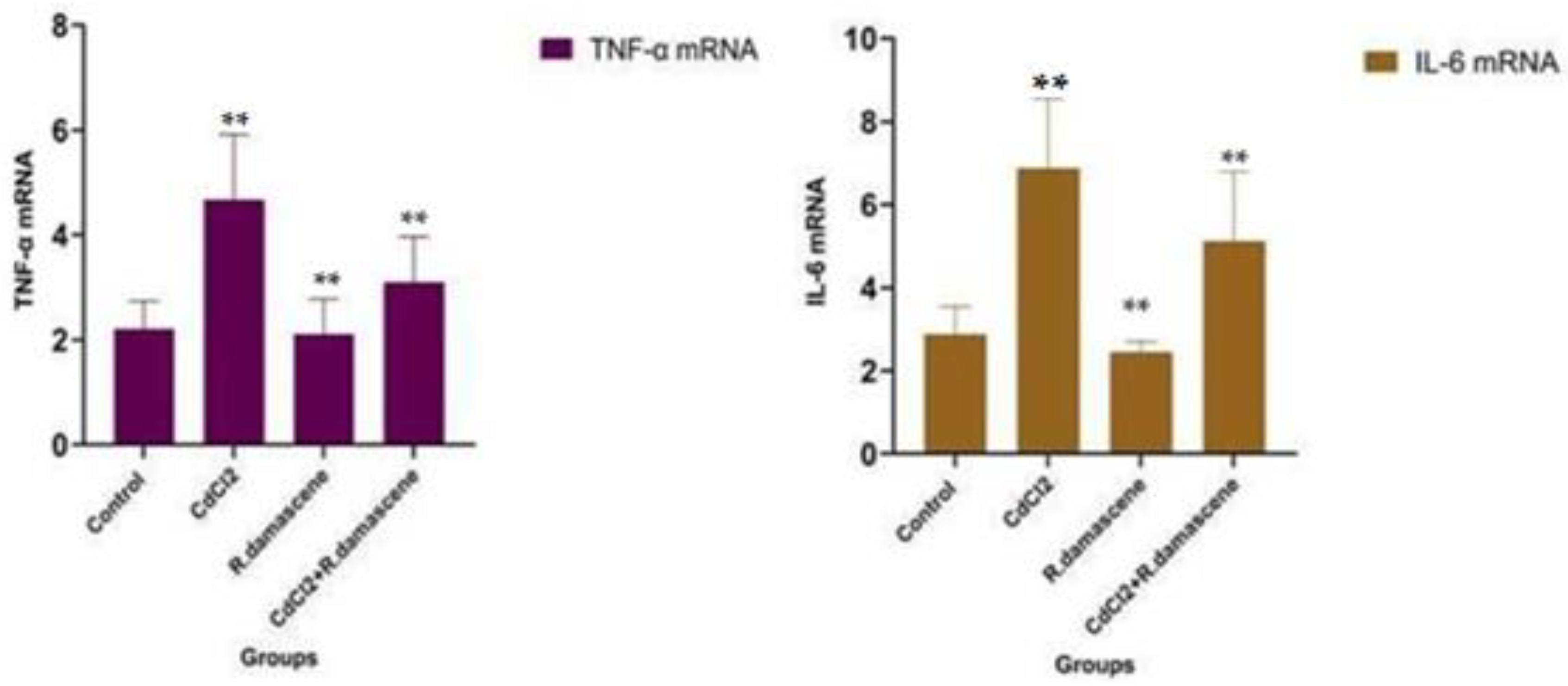 Antioxidants 11 01229 g004