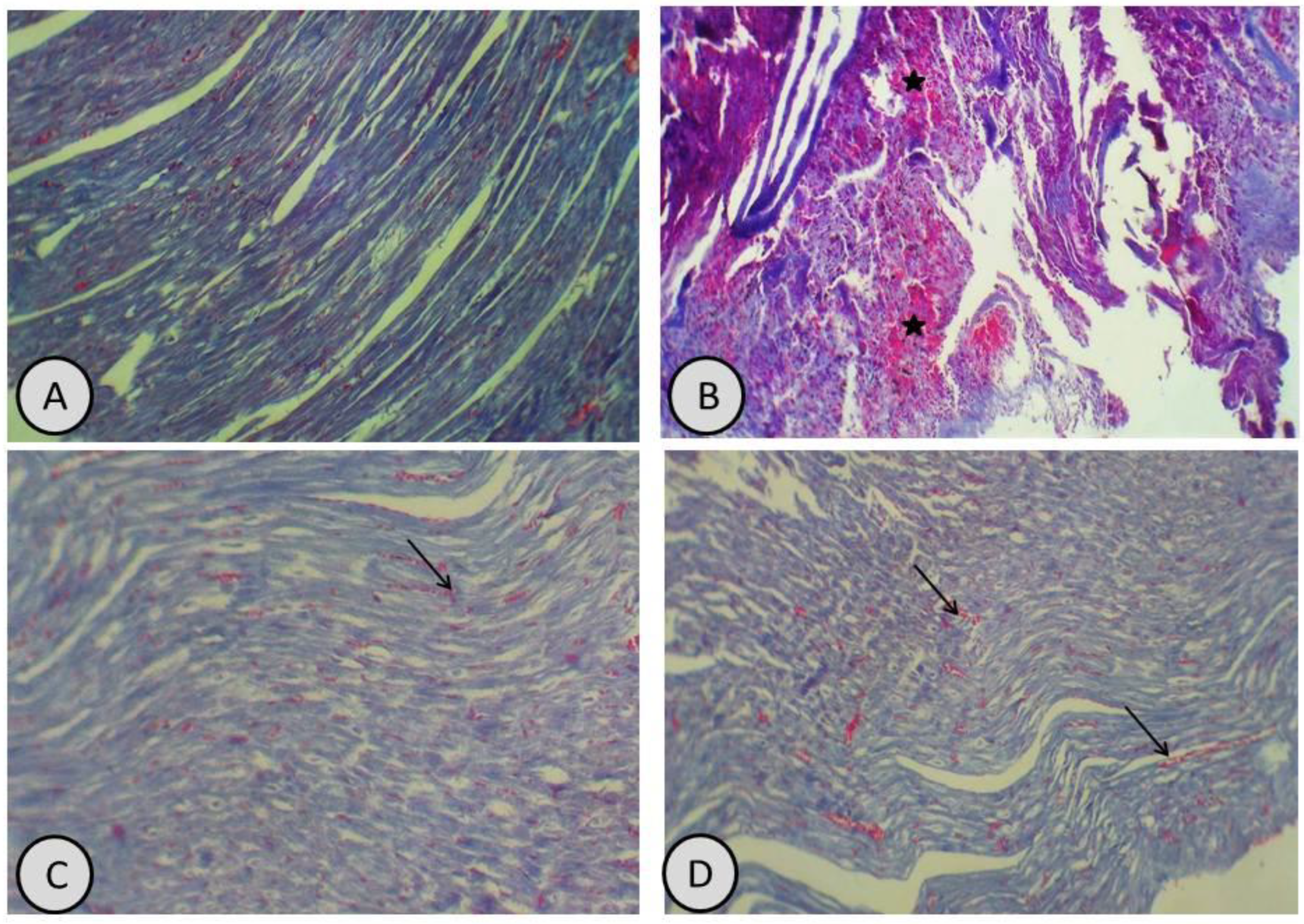 Antioxidants 11 01229 g008