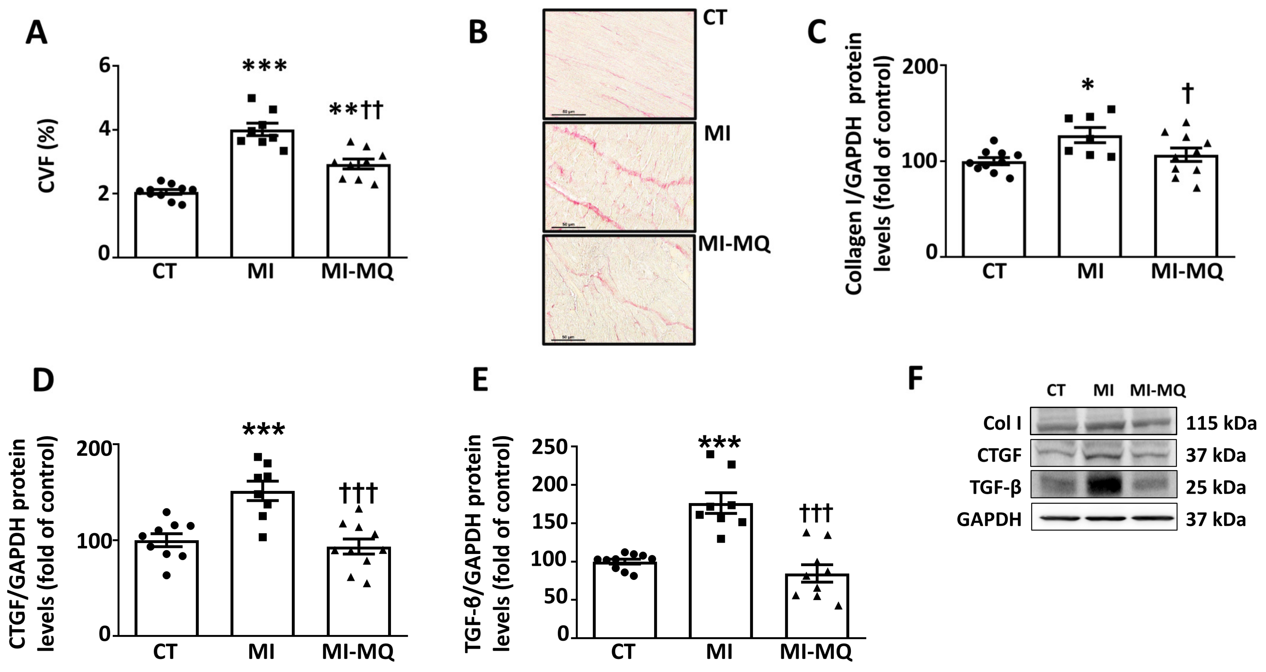 Antioxidants 11 01232 g003