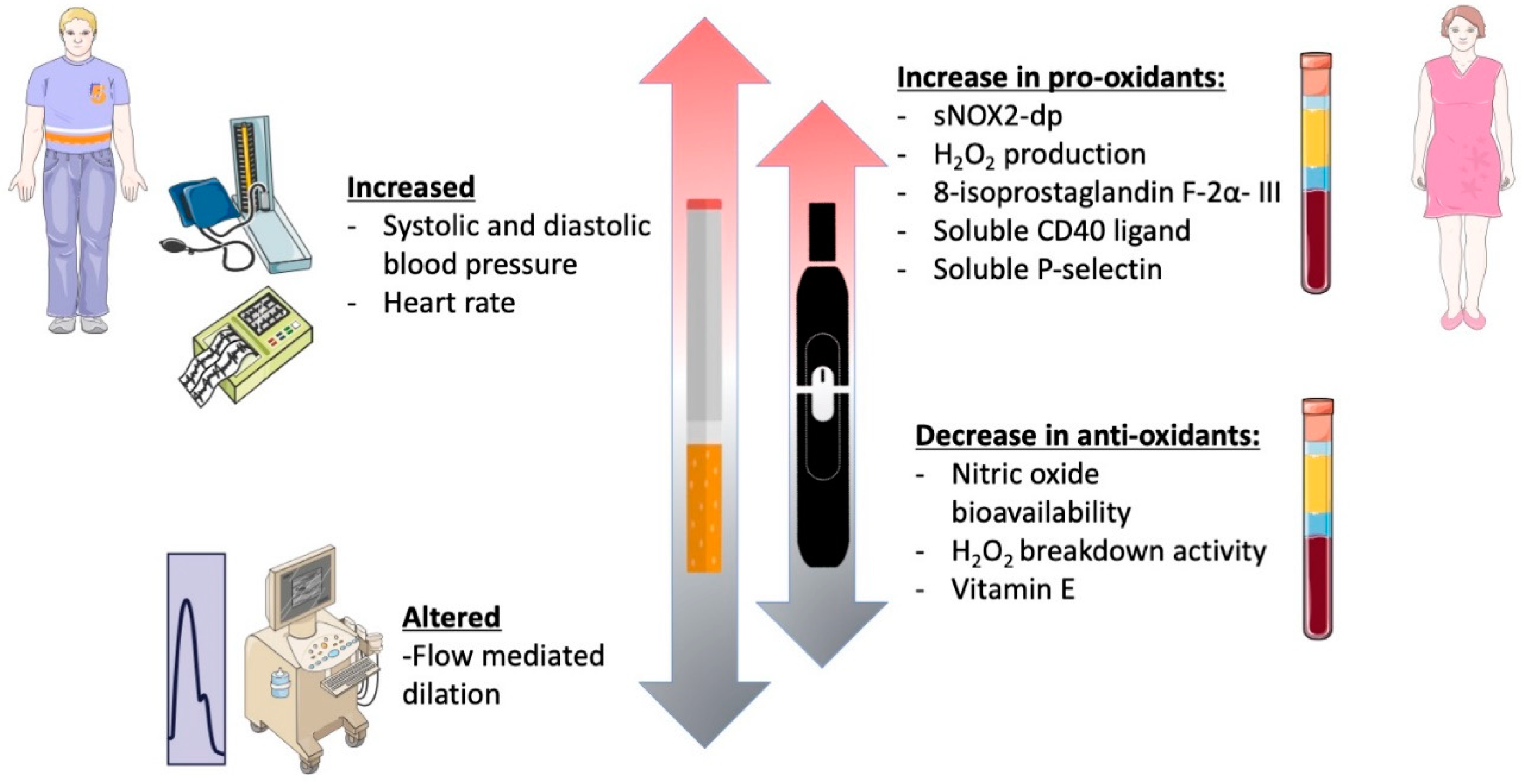 Antioxidants 11 01237 g004