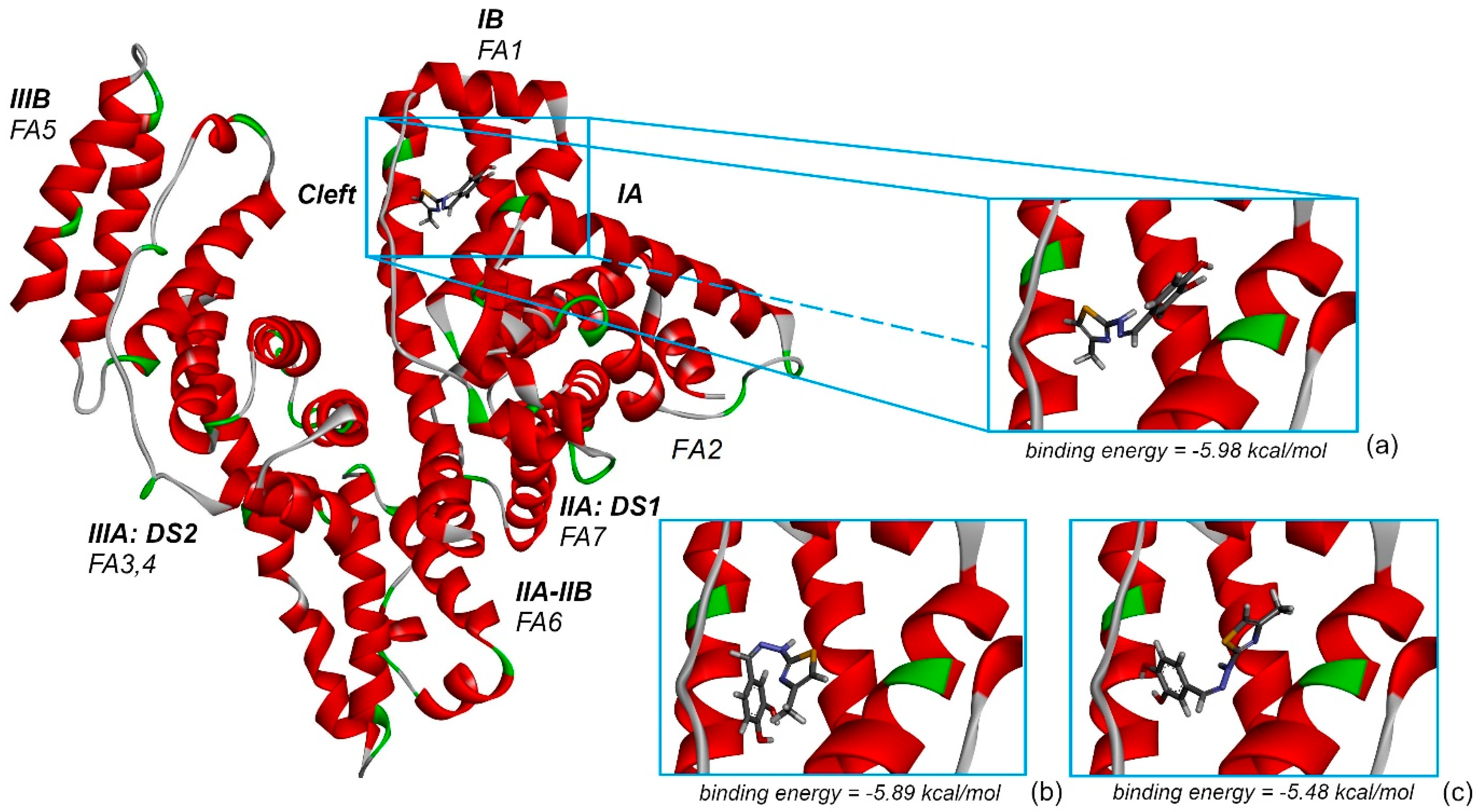 Antioxidants 11 01245 g012