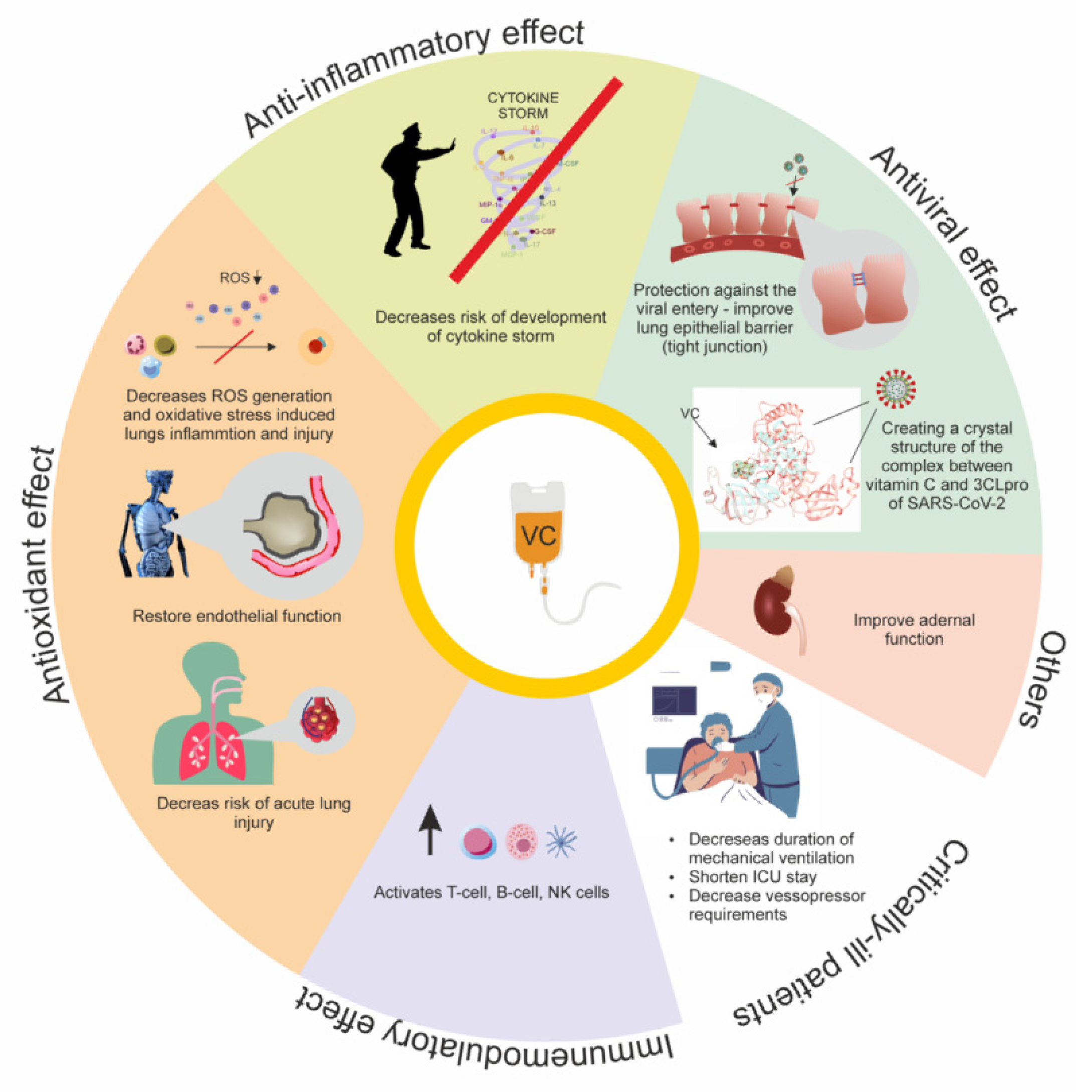 Antioxidants 11 01247 g003