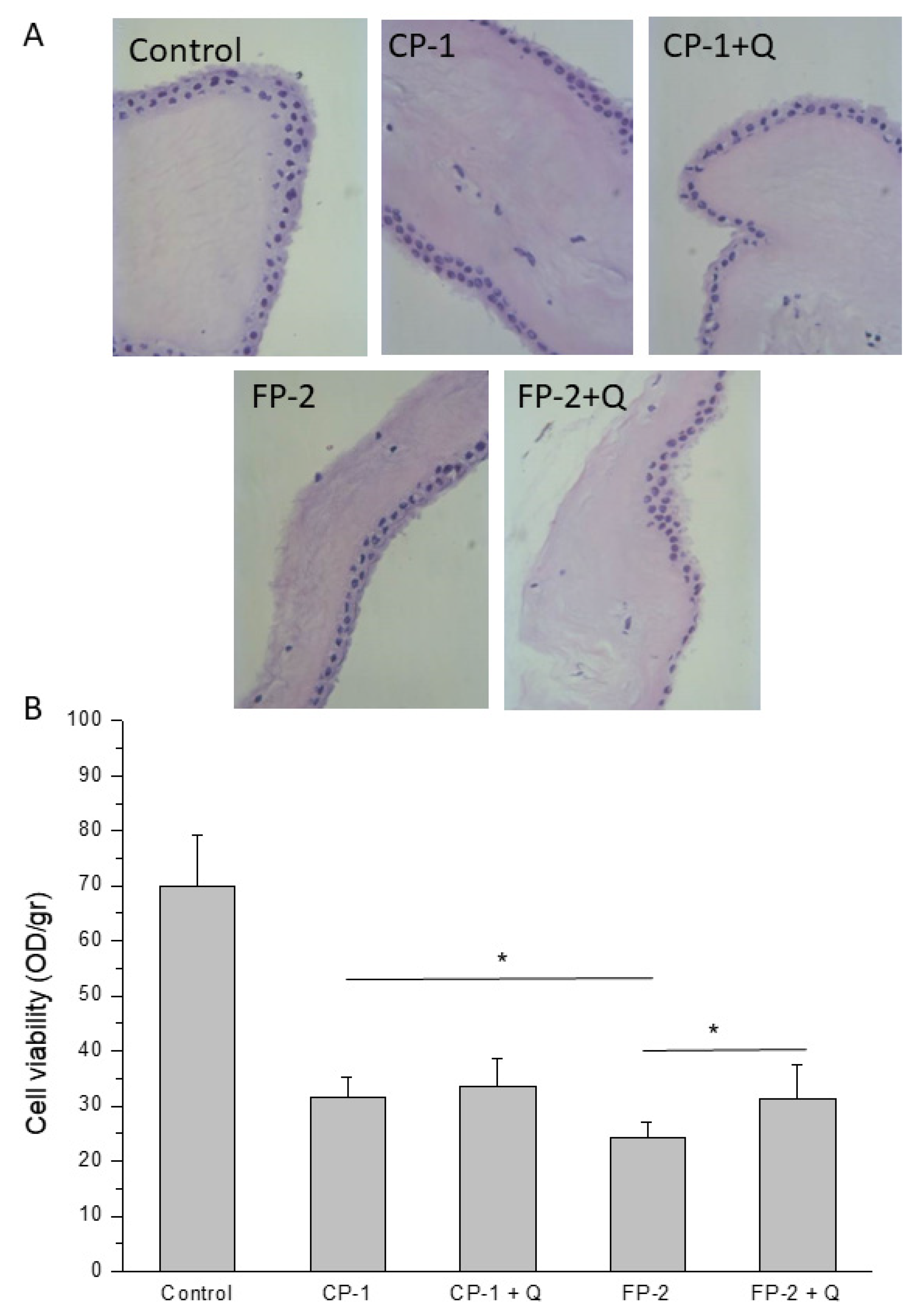 Antioxidants 11 01250 g004