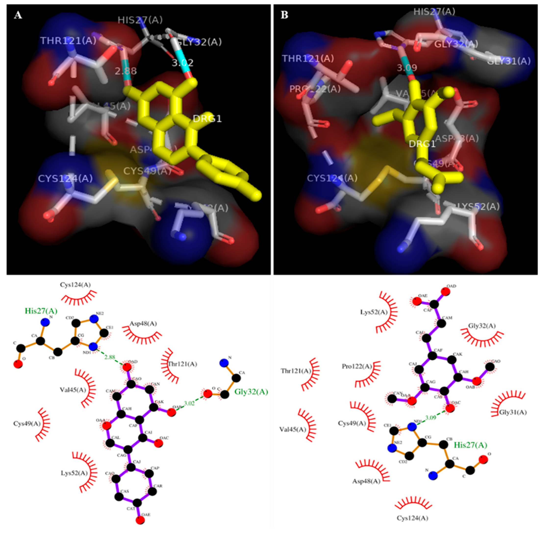 Antioxidants 11 01251 g002