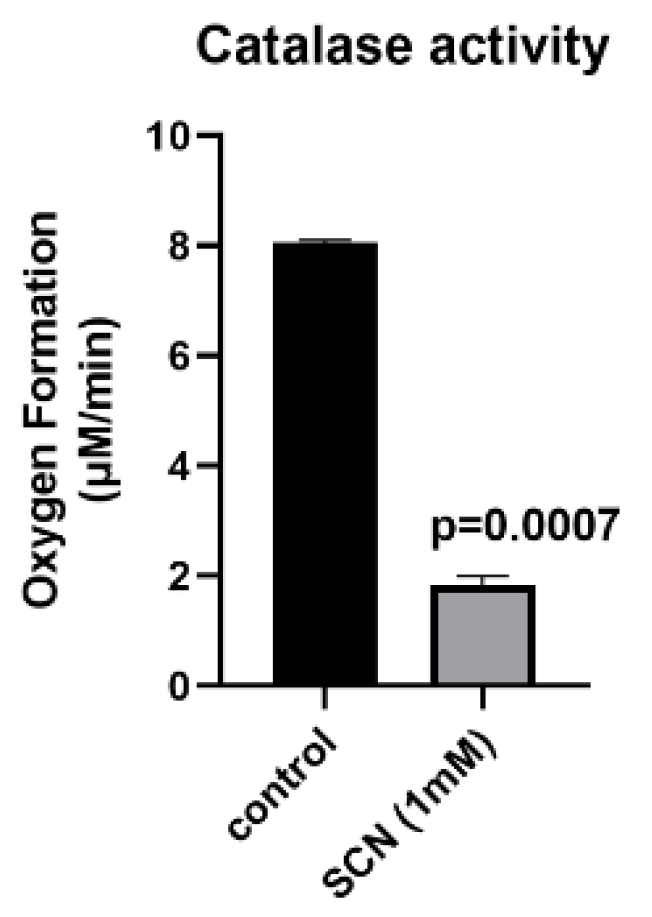Antioxidants 11 01252 g004