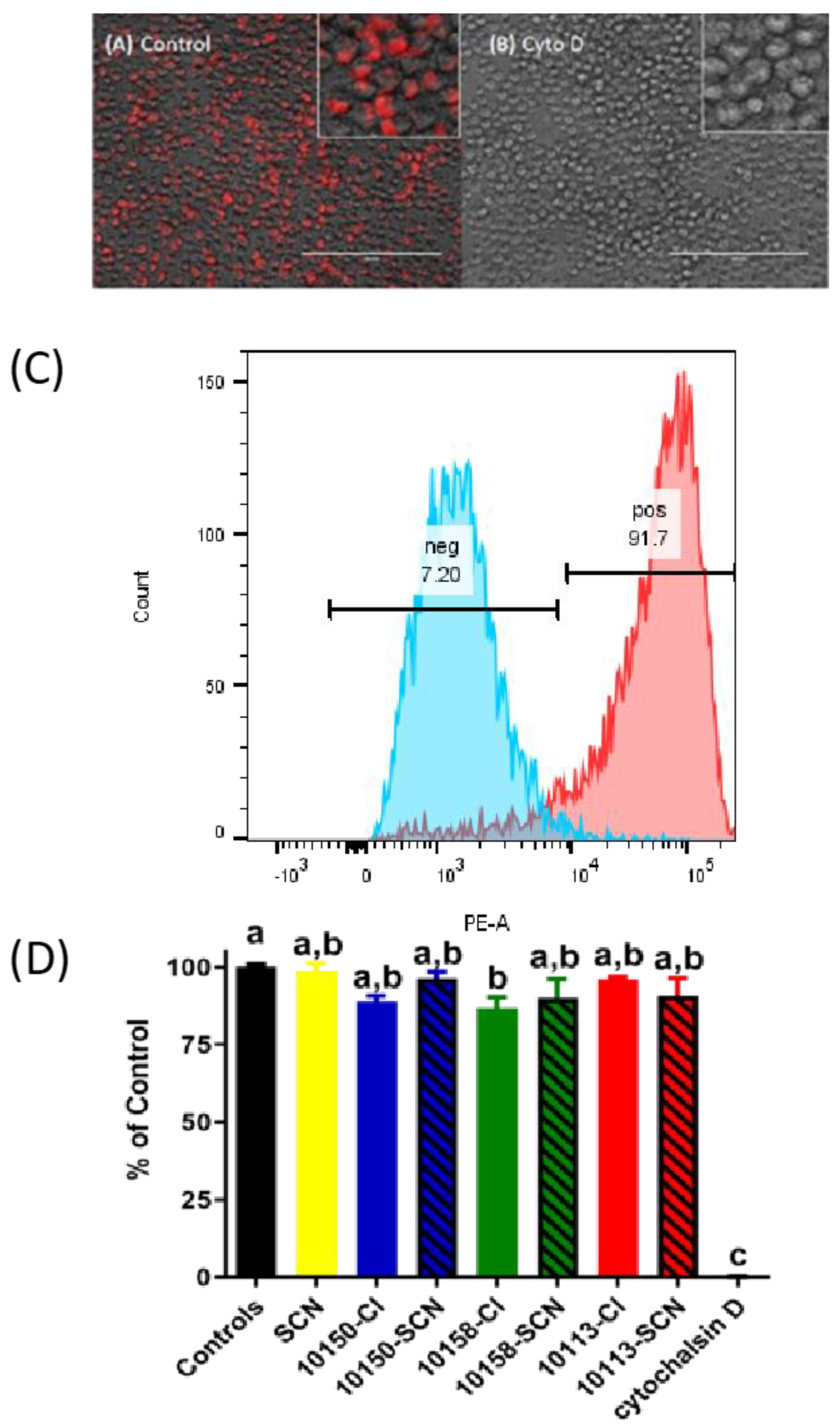 Antioxidants 11 01252 g009