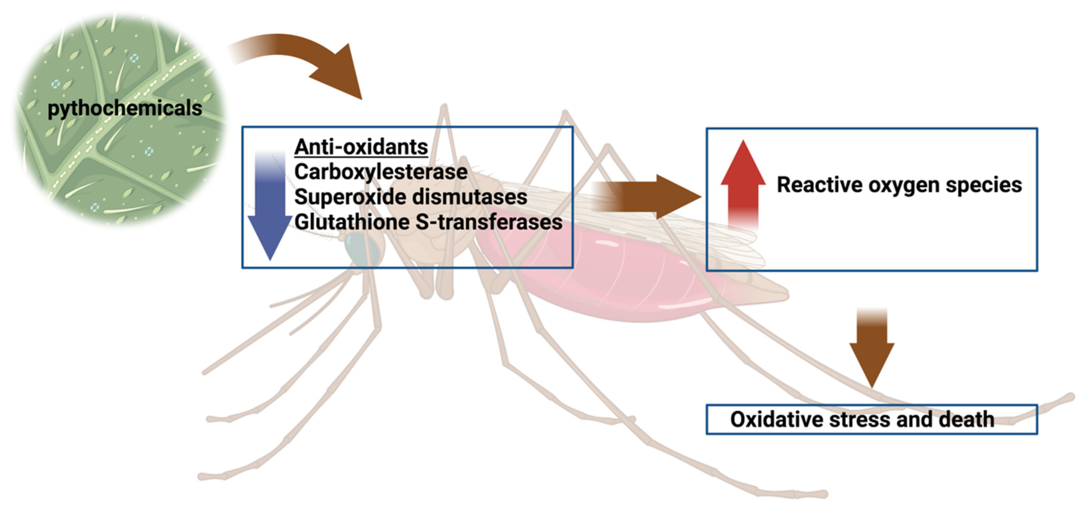 Antioxidants 11 01254 g002 Antioxidants 11 01254 g002