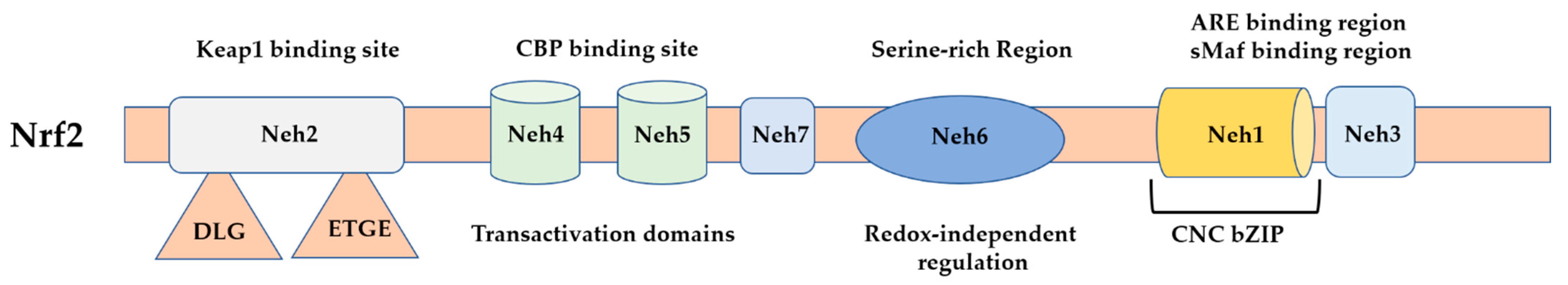 Antioxidants 11 01255 g001