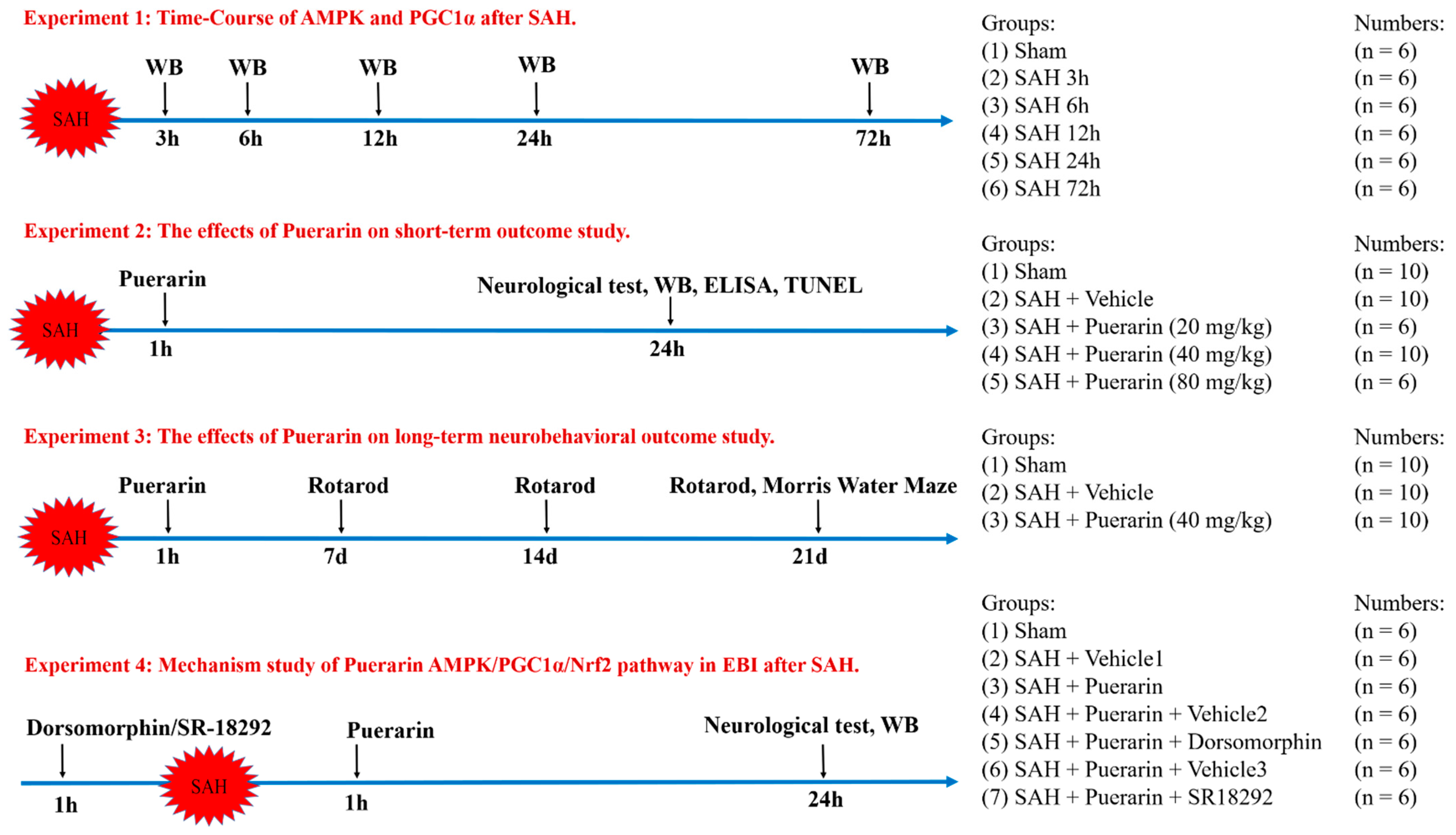 Antioxidants 11 01259 g001