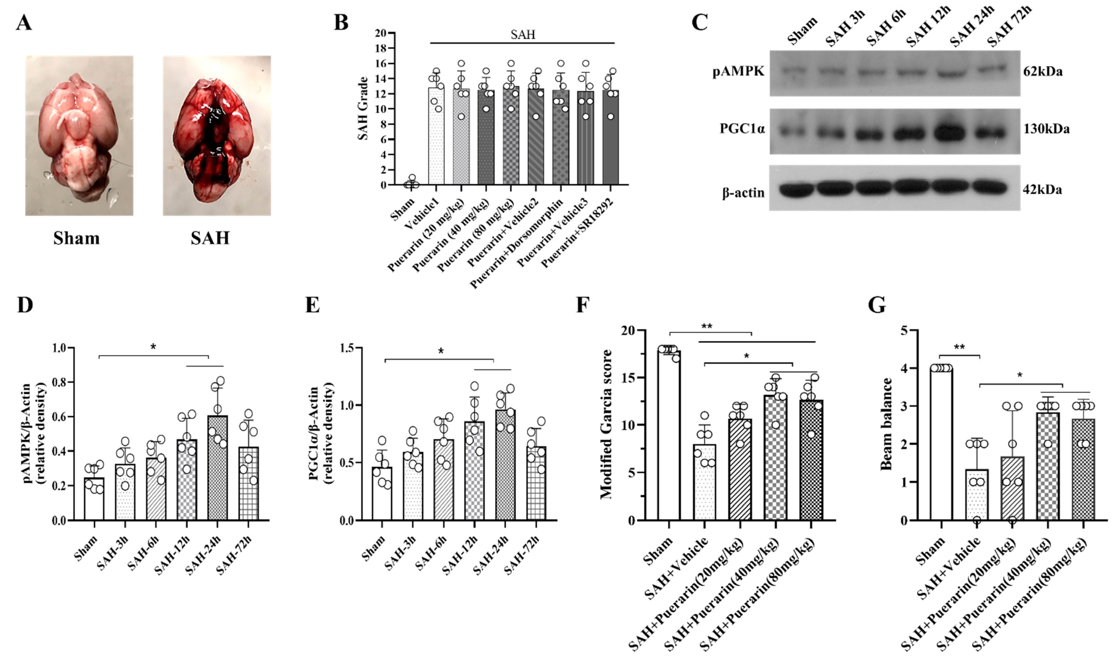 Antioxidants 11 01259 g002