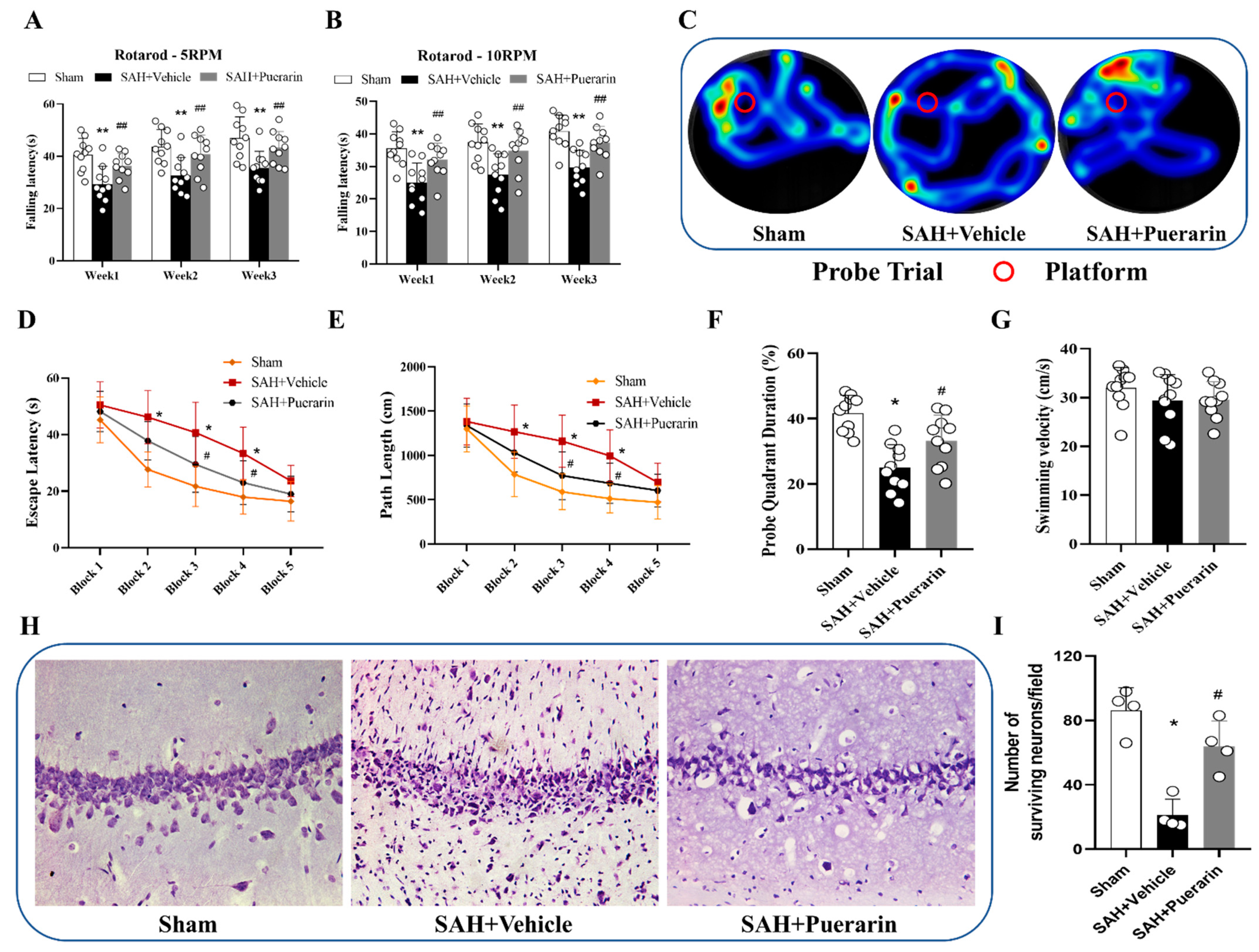 Antioxidants 11 01259 g005