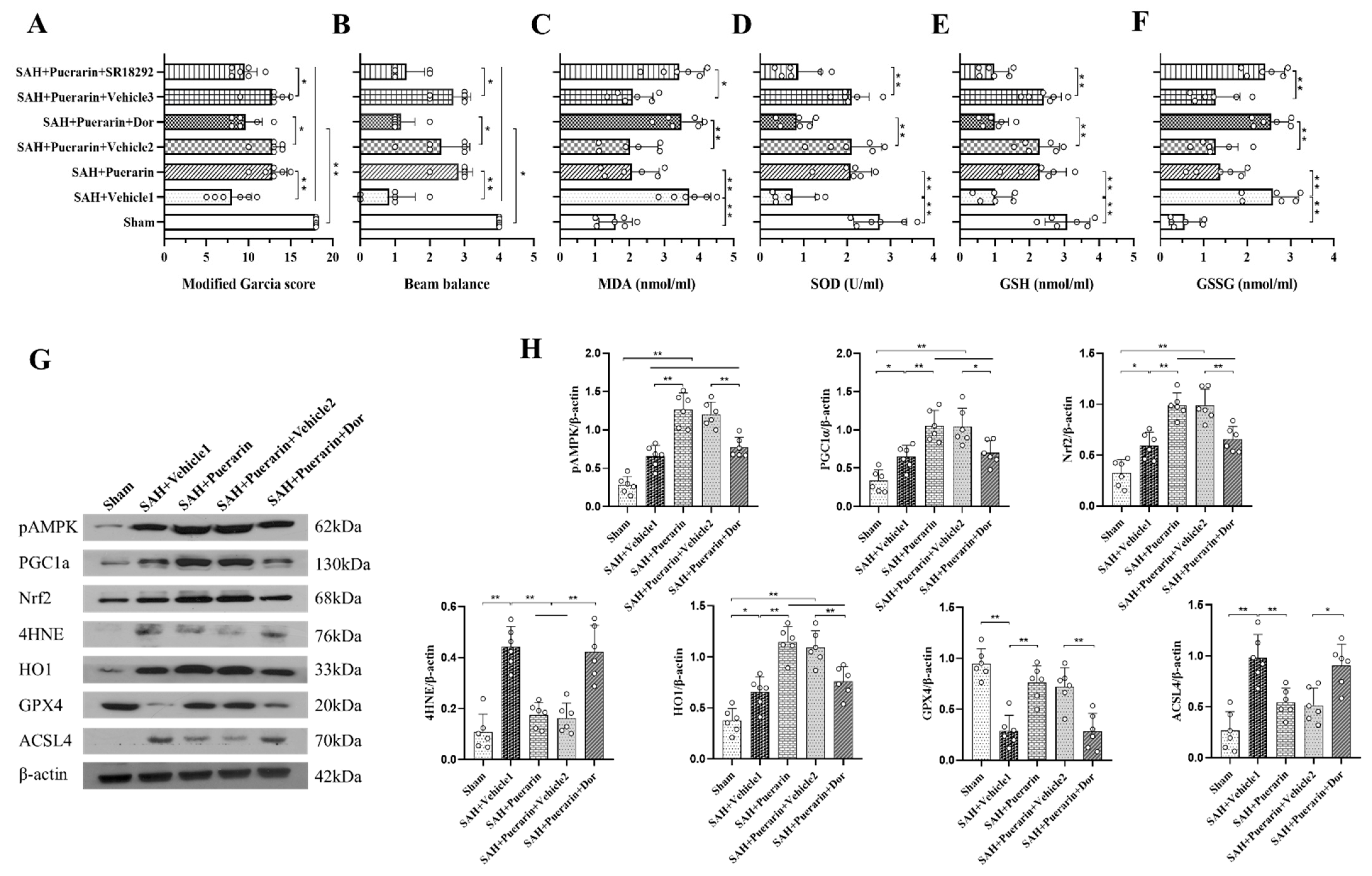 Antioxidants 11 01259 g006