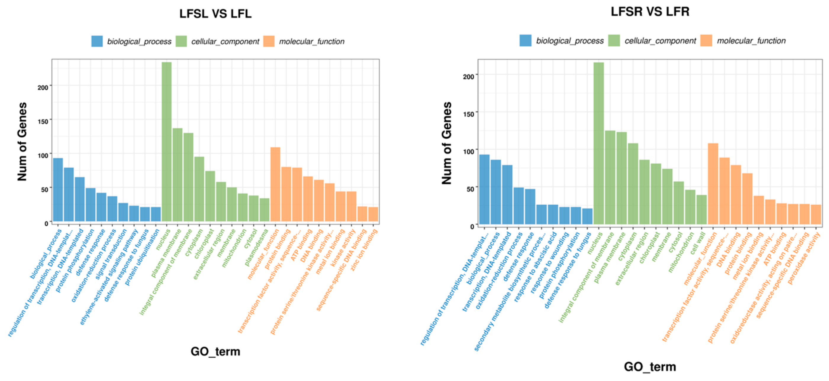Antioxidants 11 01260 g004