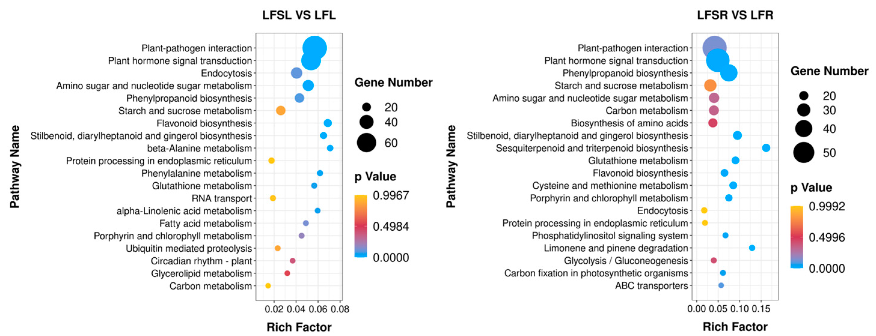 Antioxidants 11 01260 g005