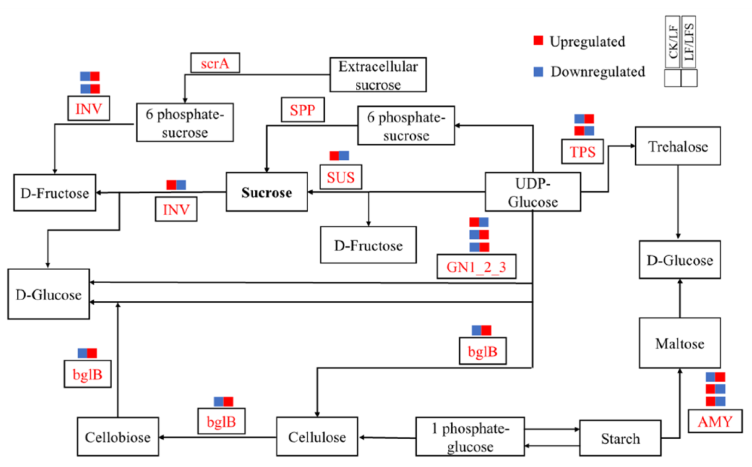 Antioxidants 11 01260 g007