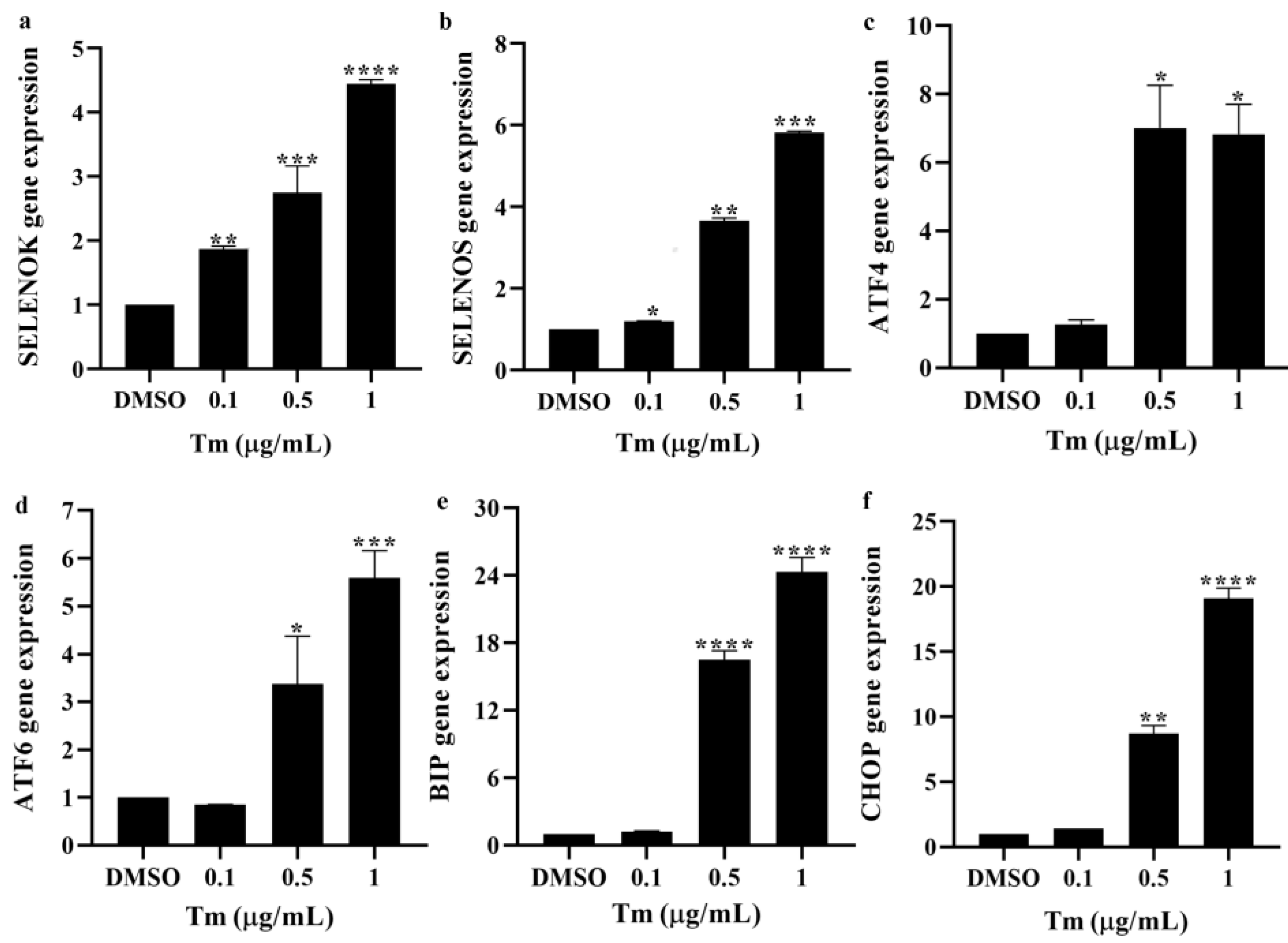 Antioxidants 11 01264 g004