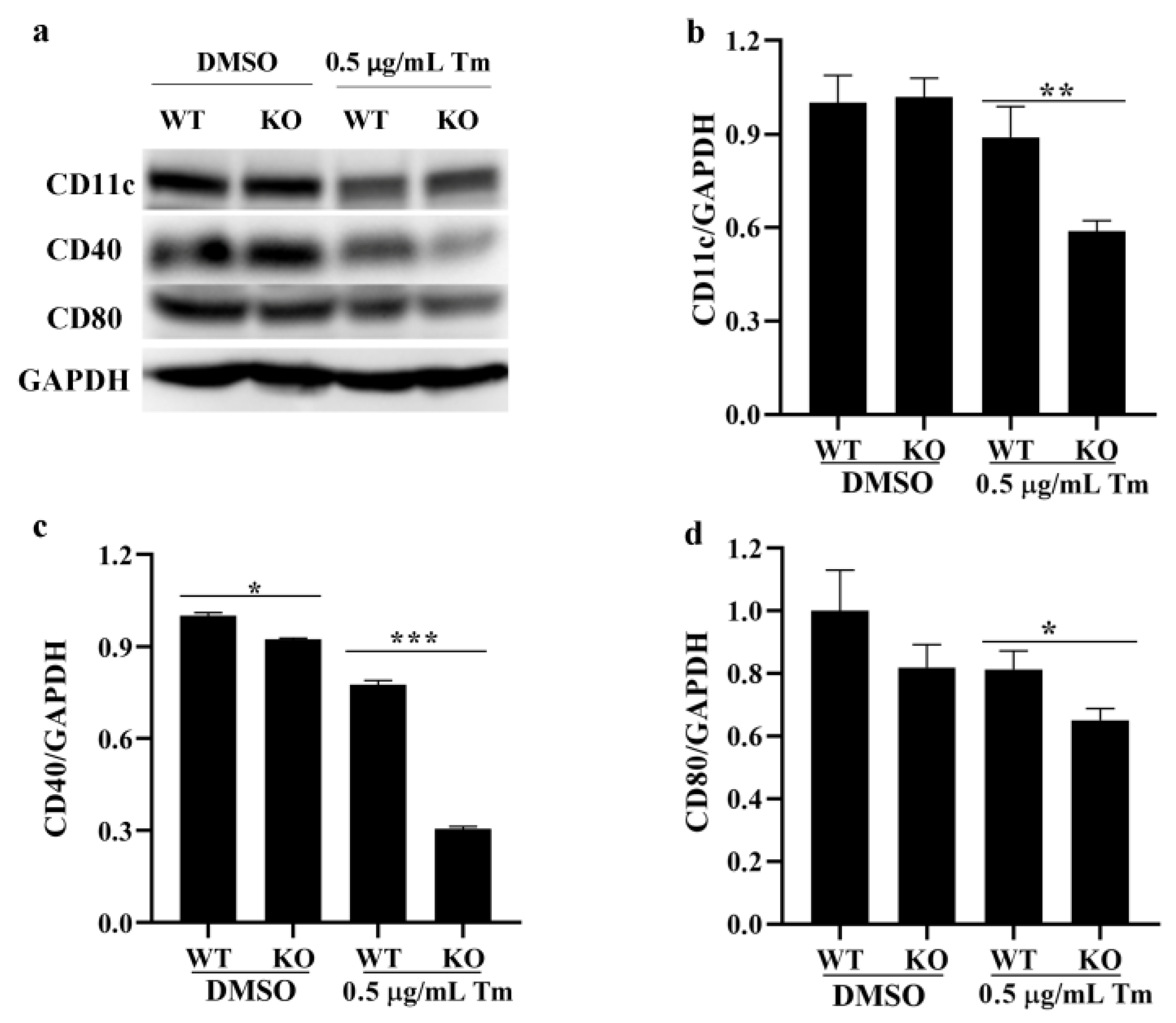 Antioxidants 11 01264 g008