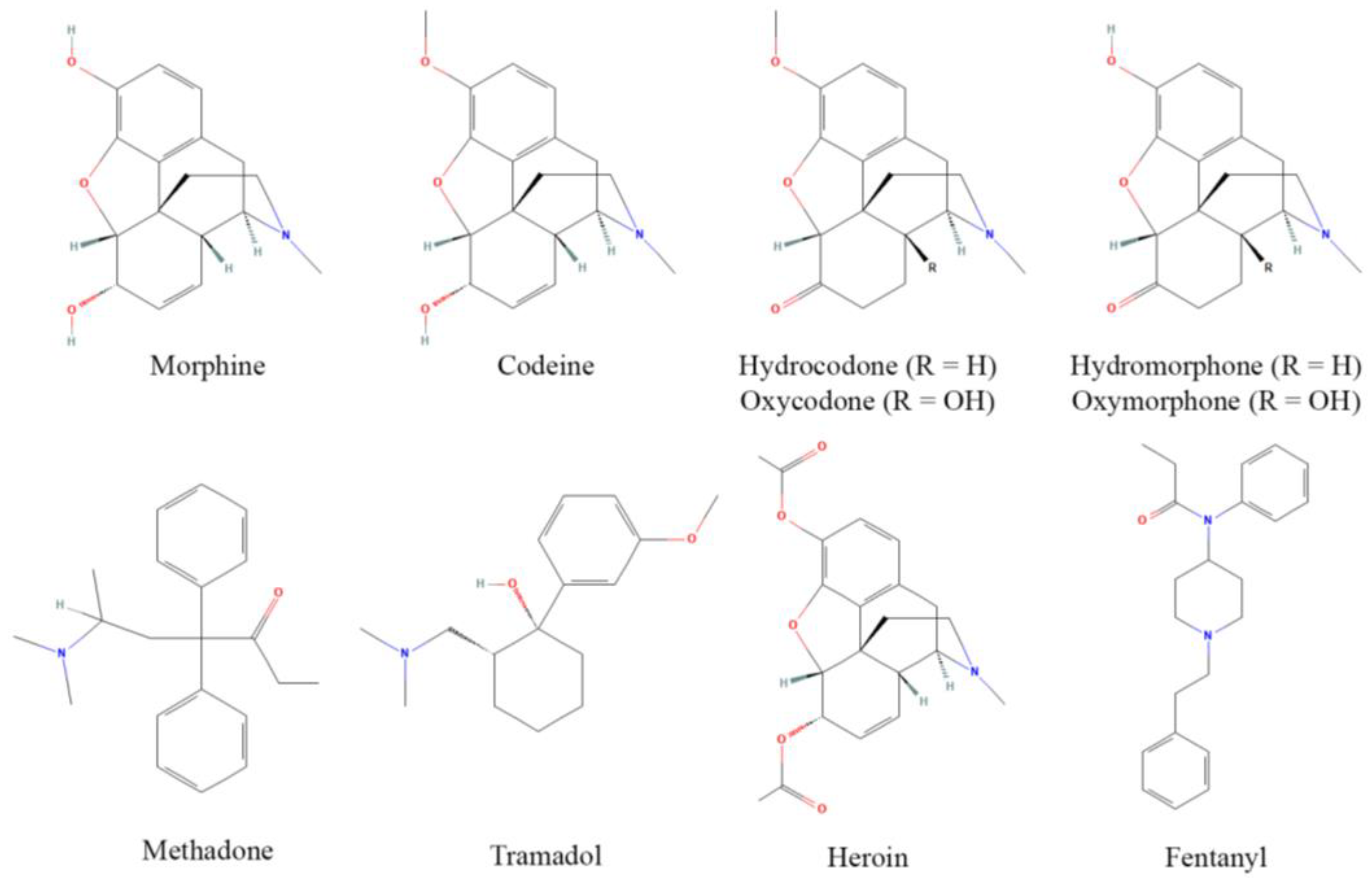 Antioxidants 11 01267 g001