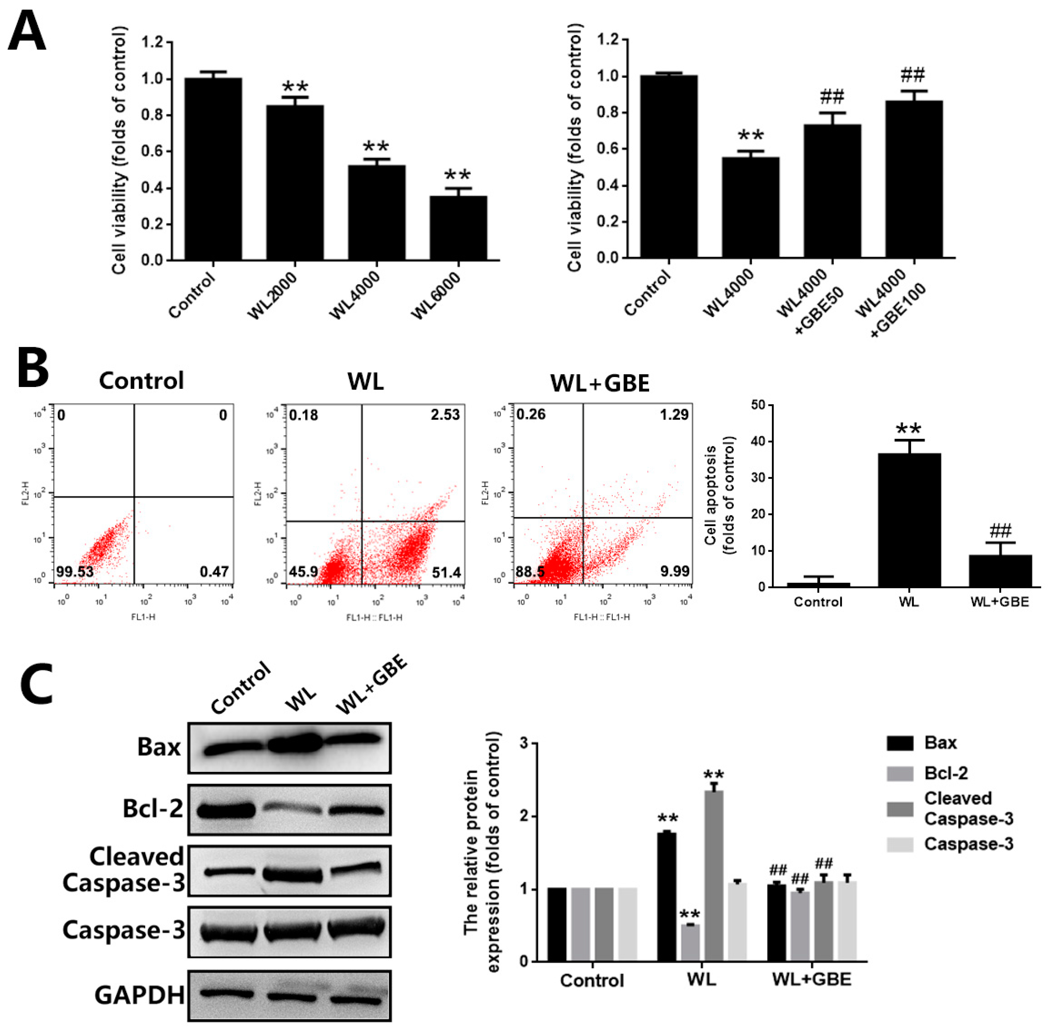 Antioxidants 11 01268 g001
