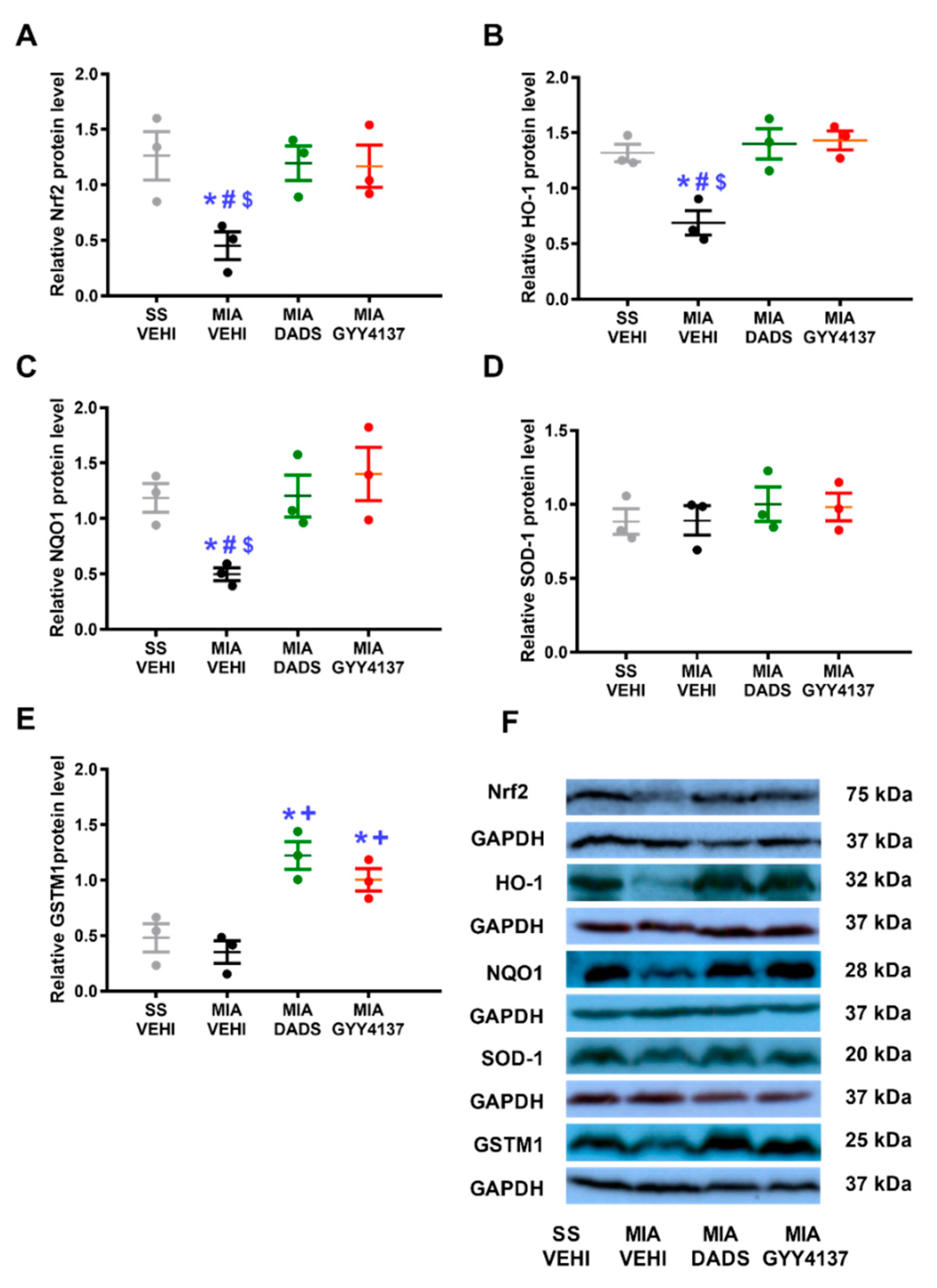 Antioxidants 11 01271 g006
