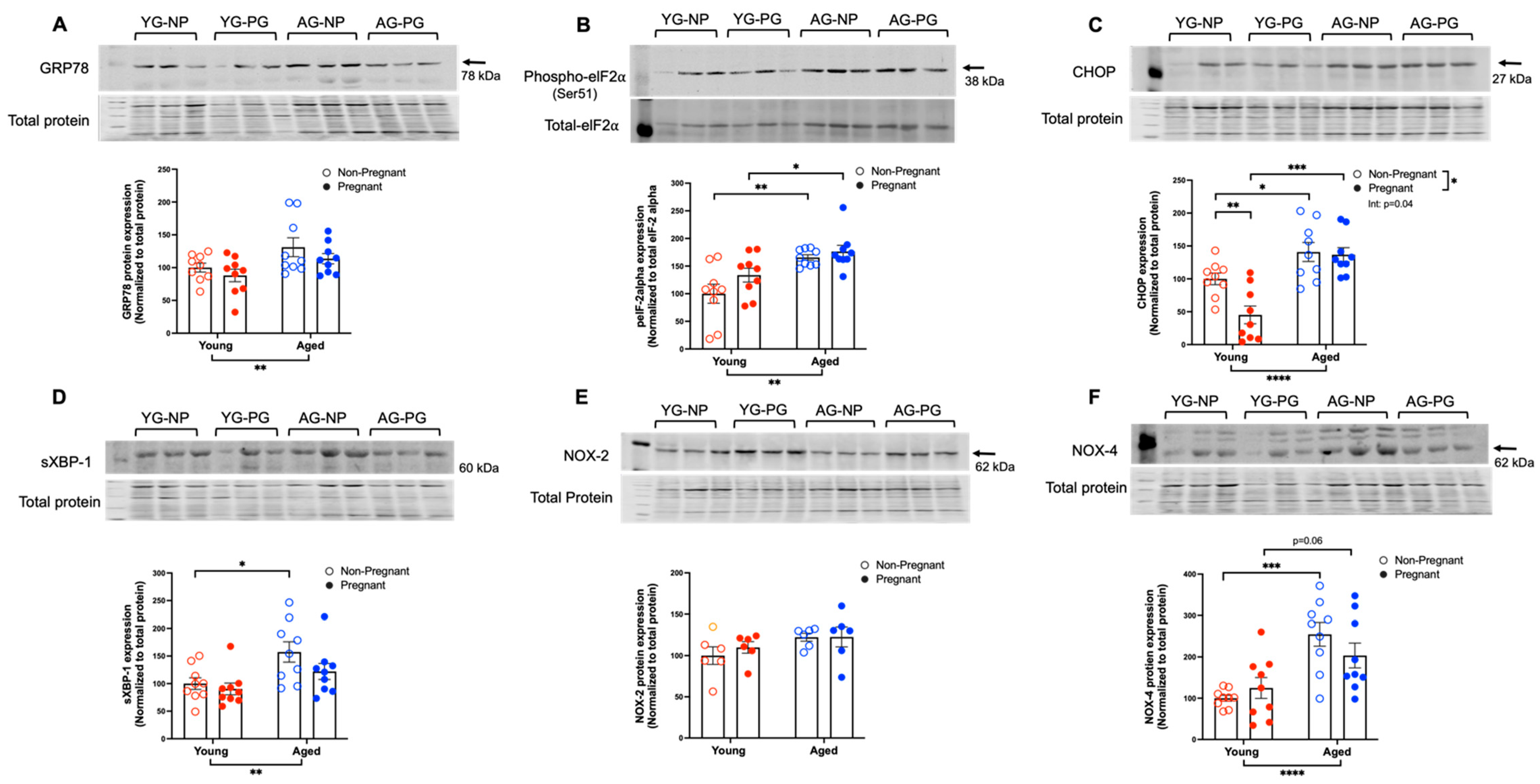 Antioxidants 11 01275 g001