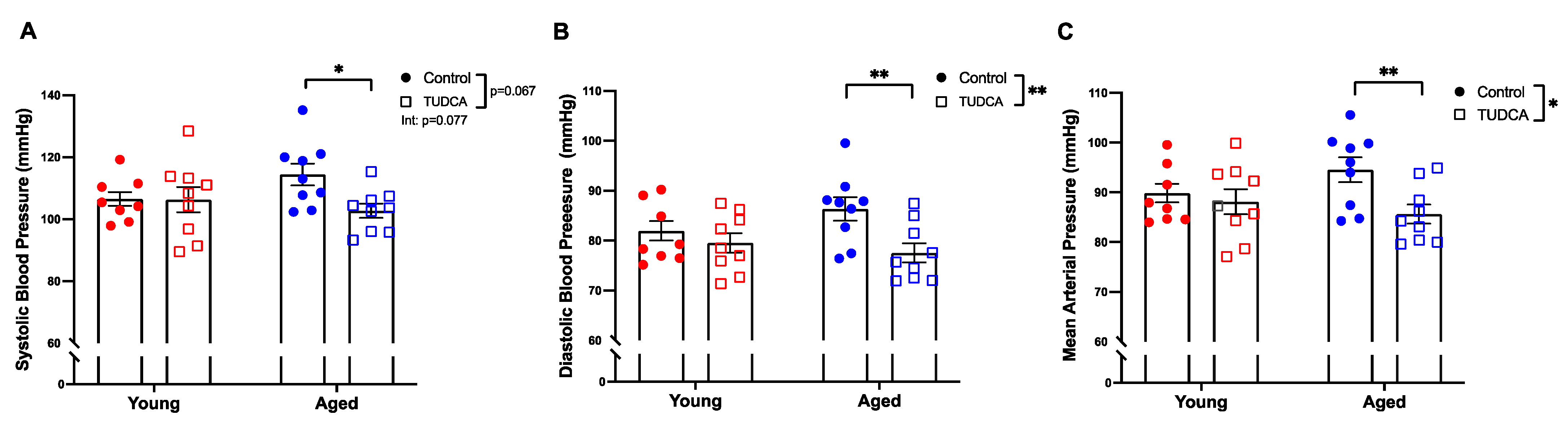 Antioxidants 11 01275 g003
