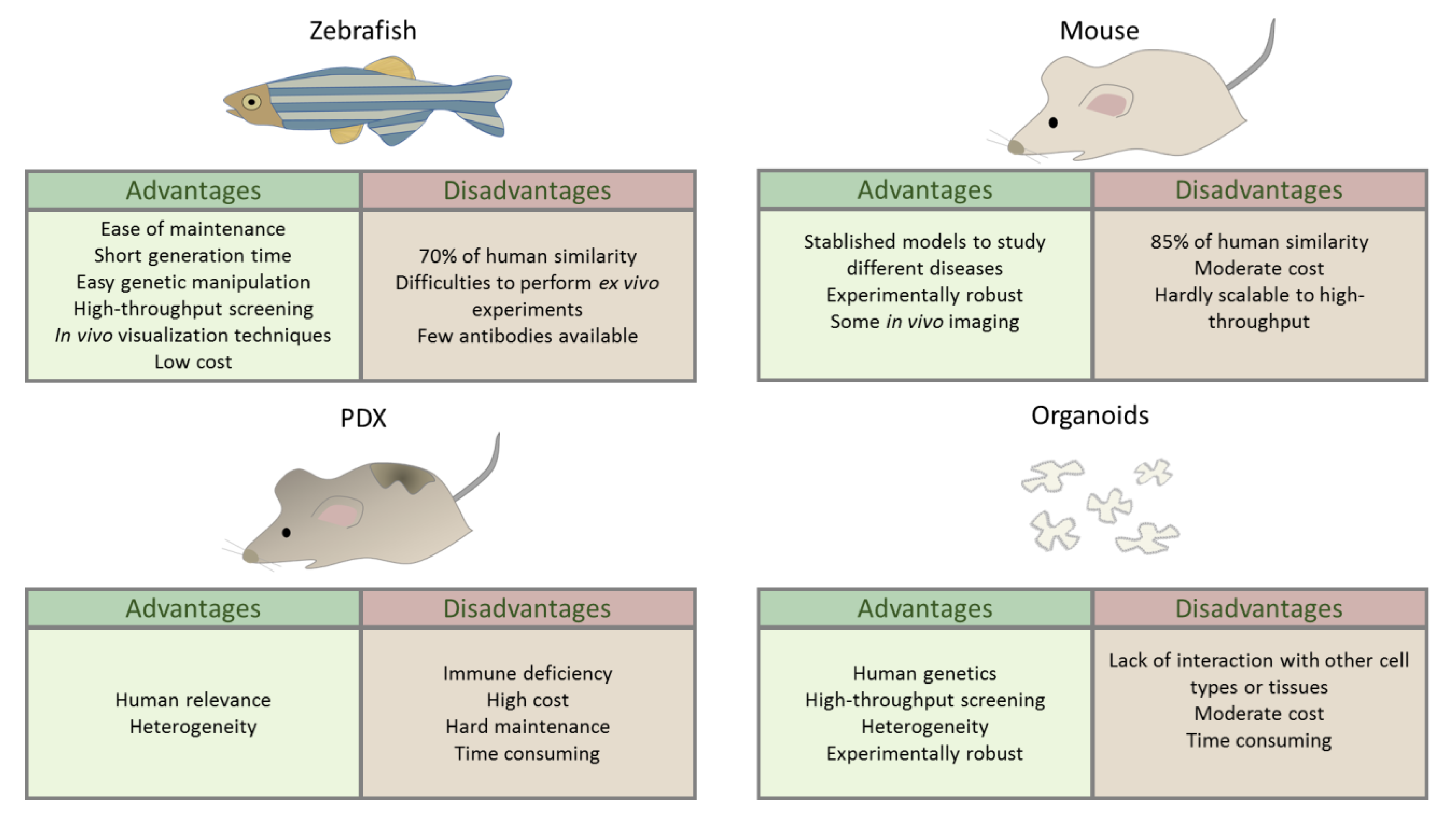 Antioxidants 11 01277 g001