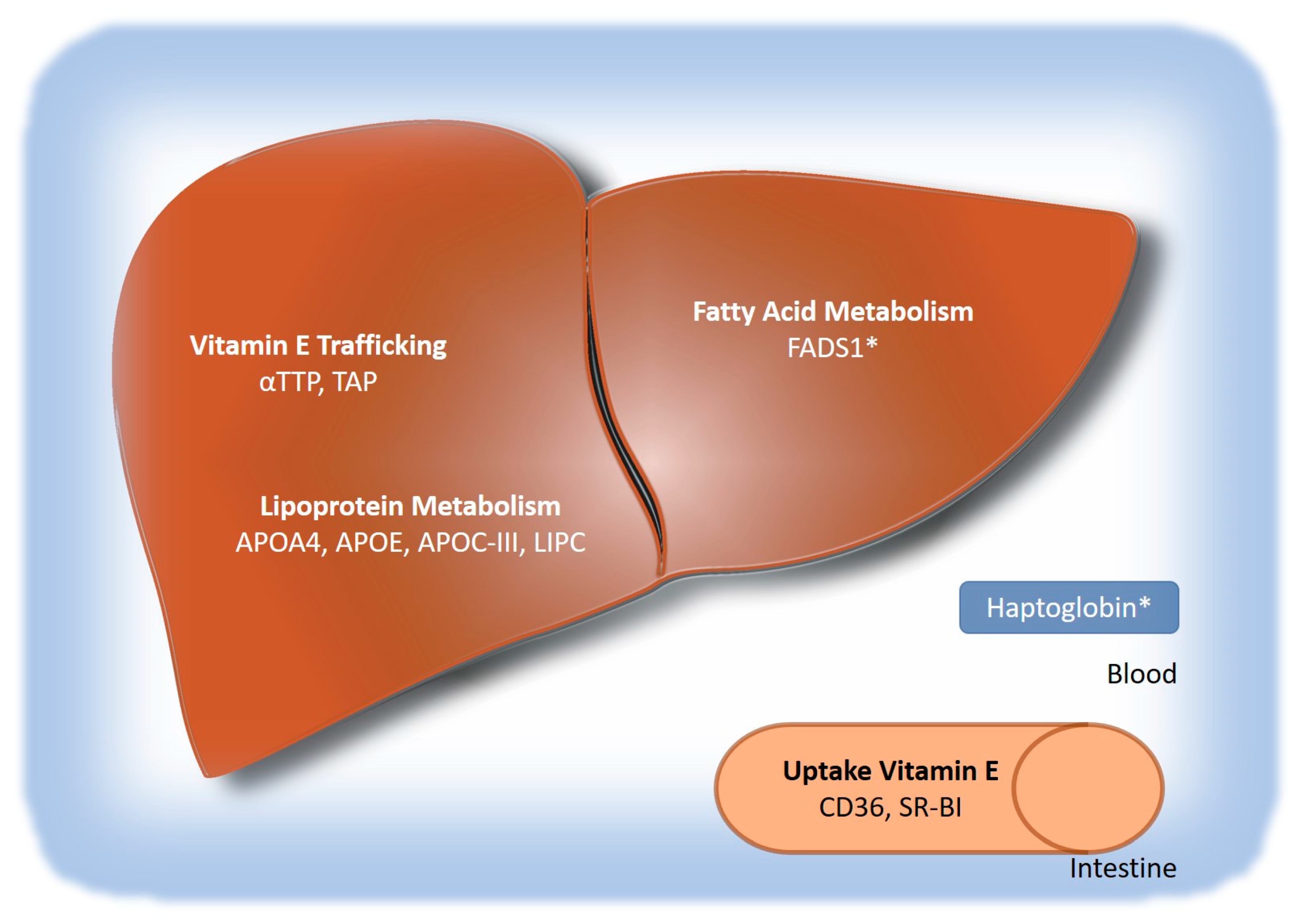 Antioxidants 11 01284 g001