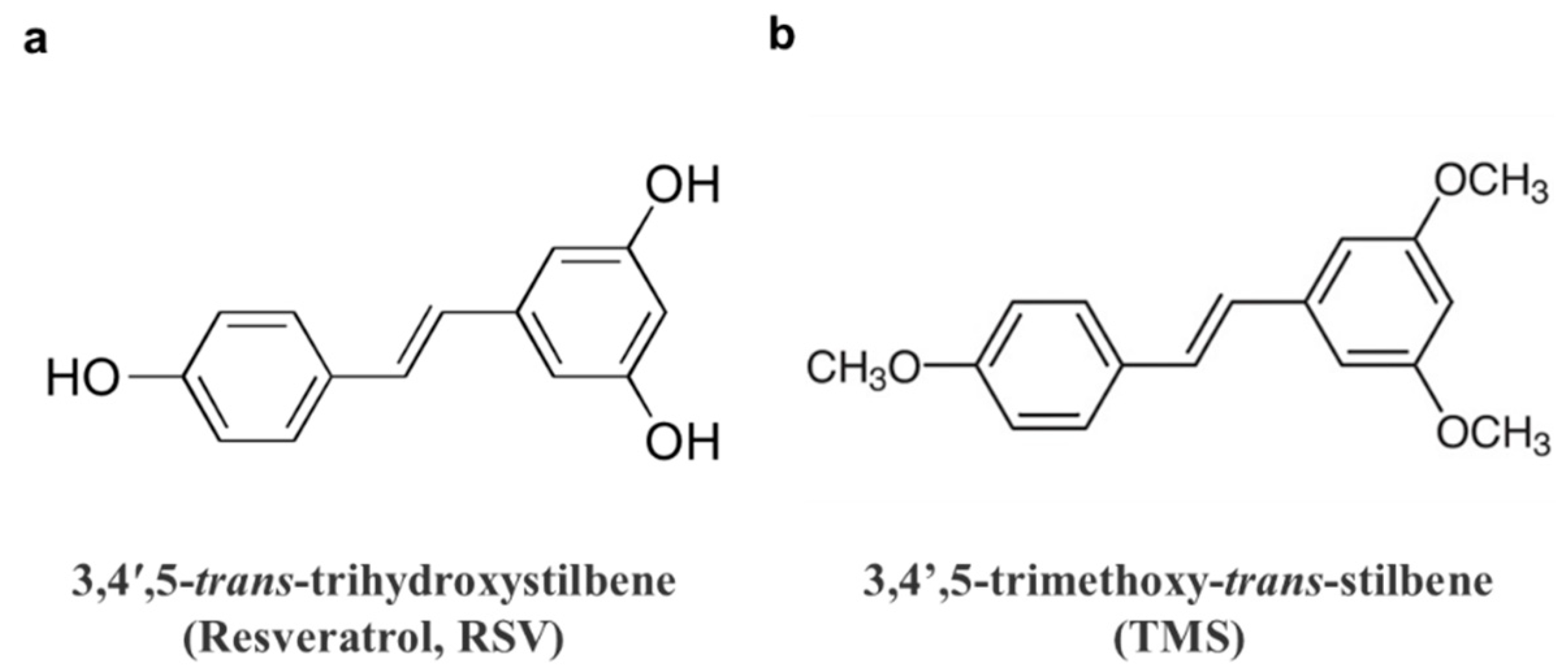 Antioxidants 11 01286 g001