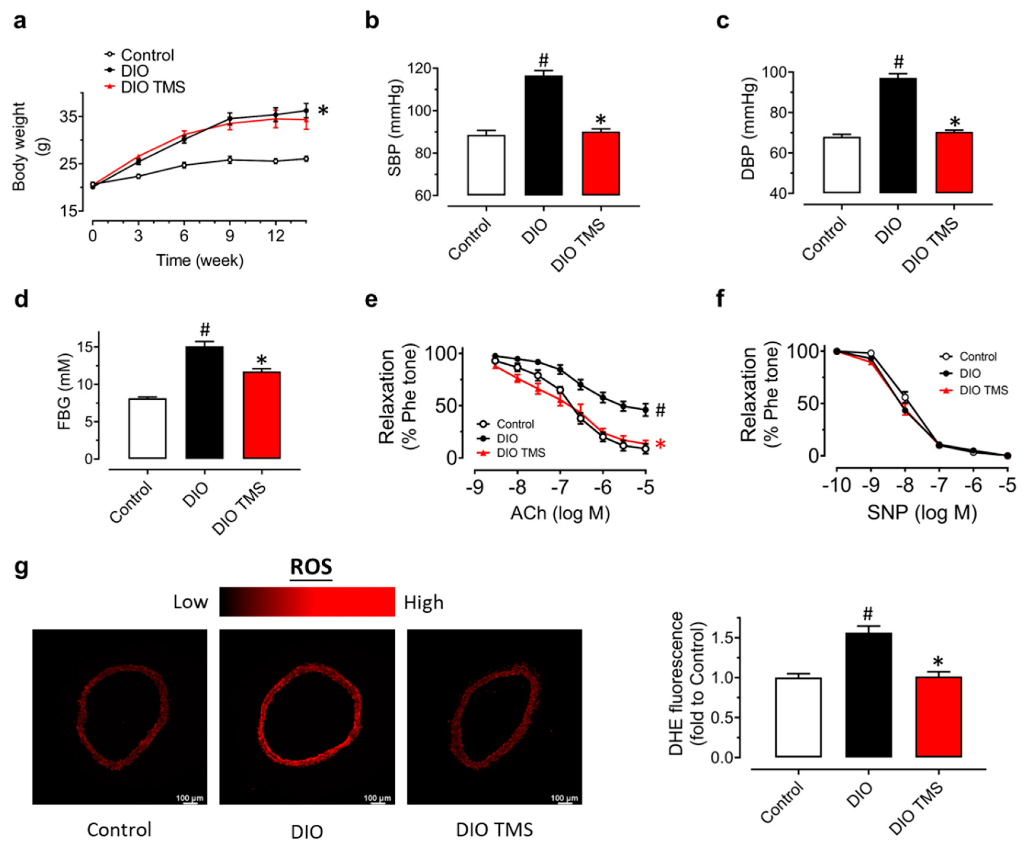 Antioxidants 11 01286 g006