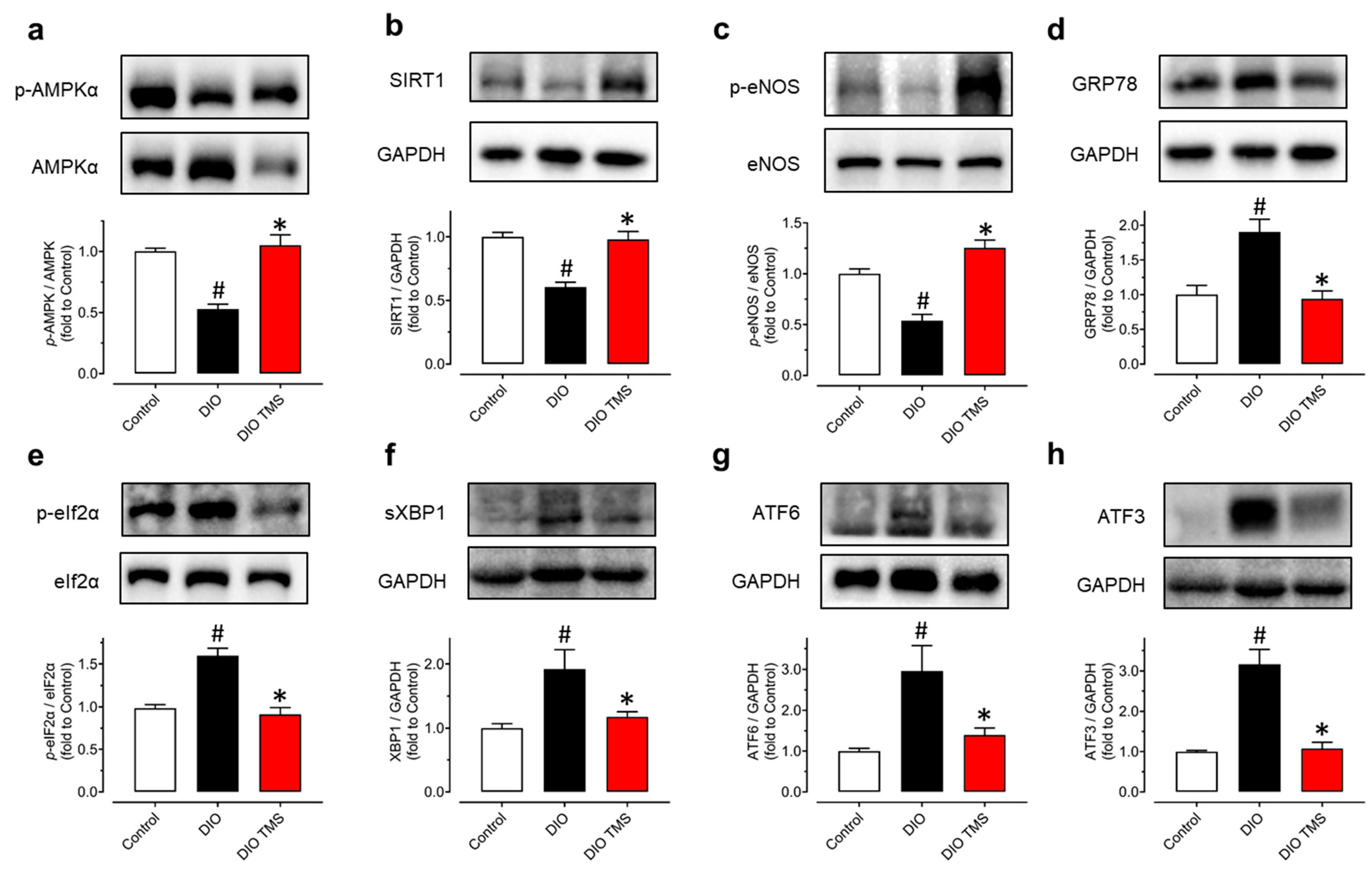 Antioxidants 11 01286 g007