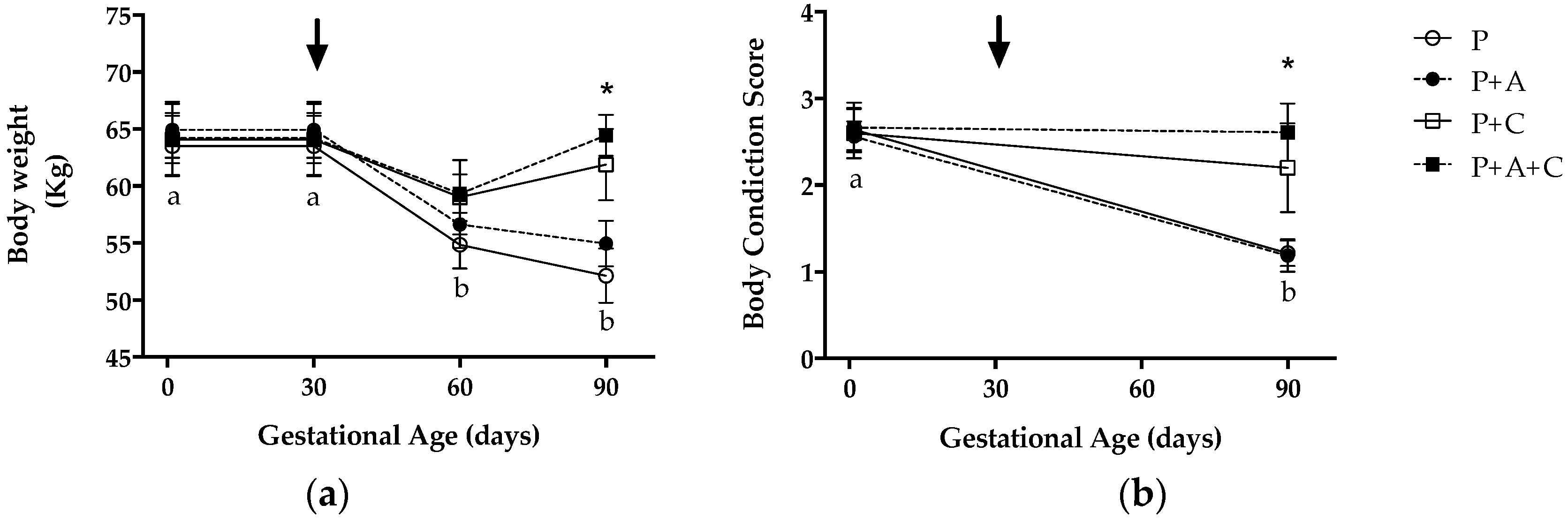 Antioxidants 11 01287 g001 Antioxidants 11 01287 g001