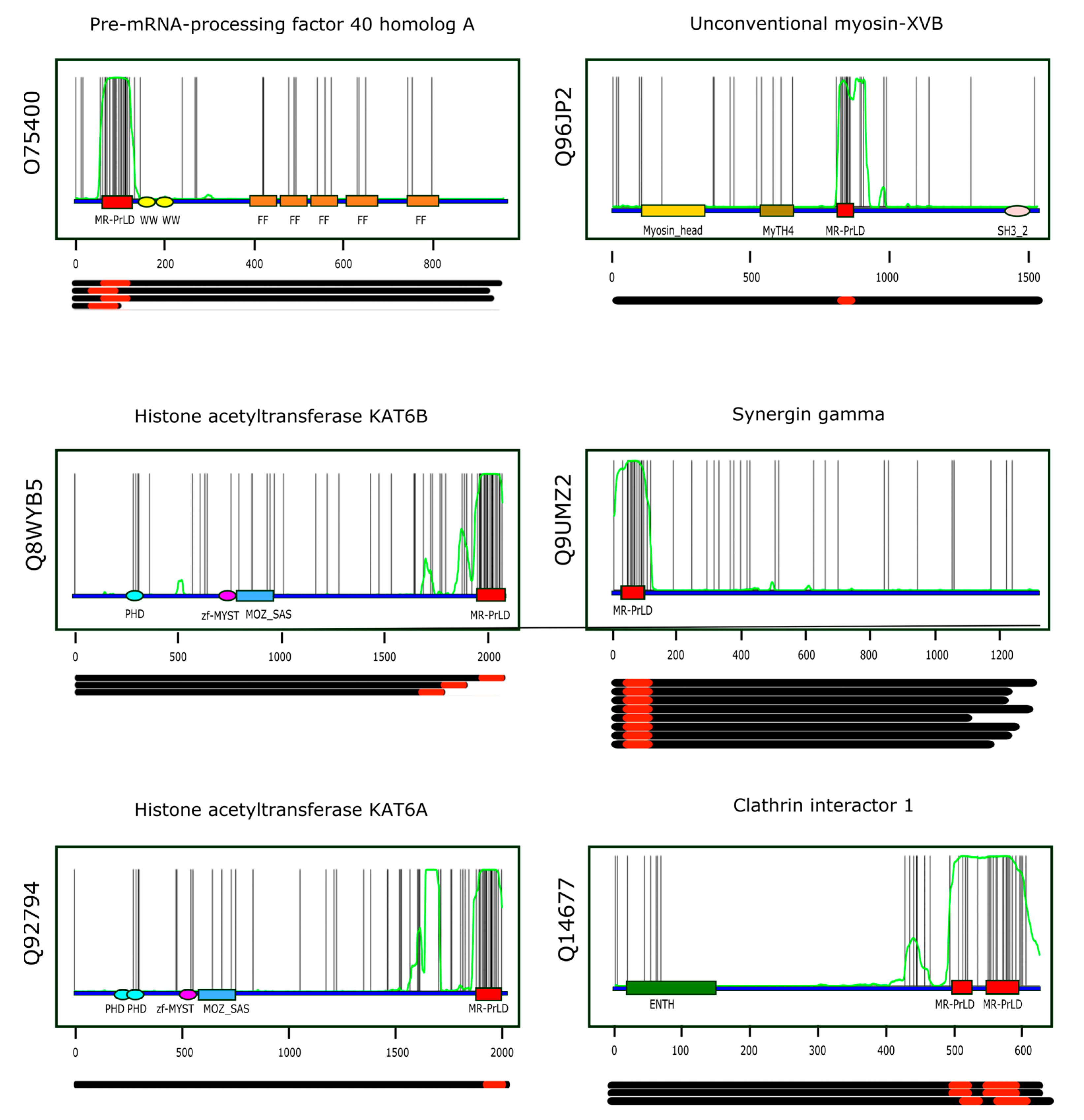 Antioxidants 11 01289 g005