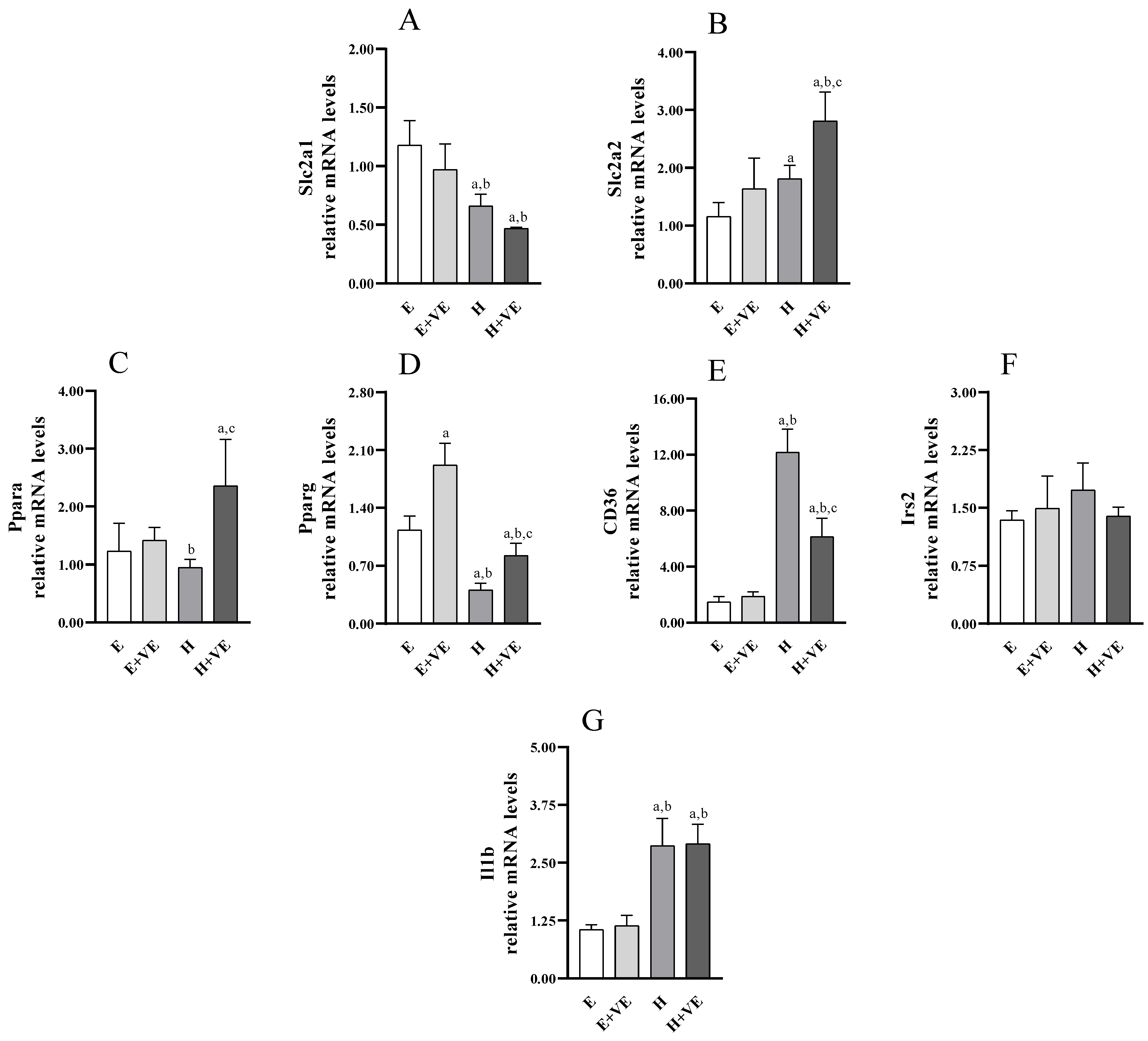 Antioxidants 11 01295 g008