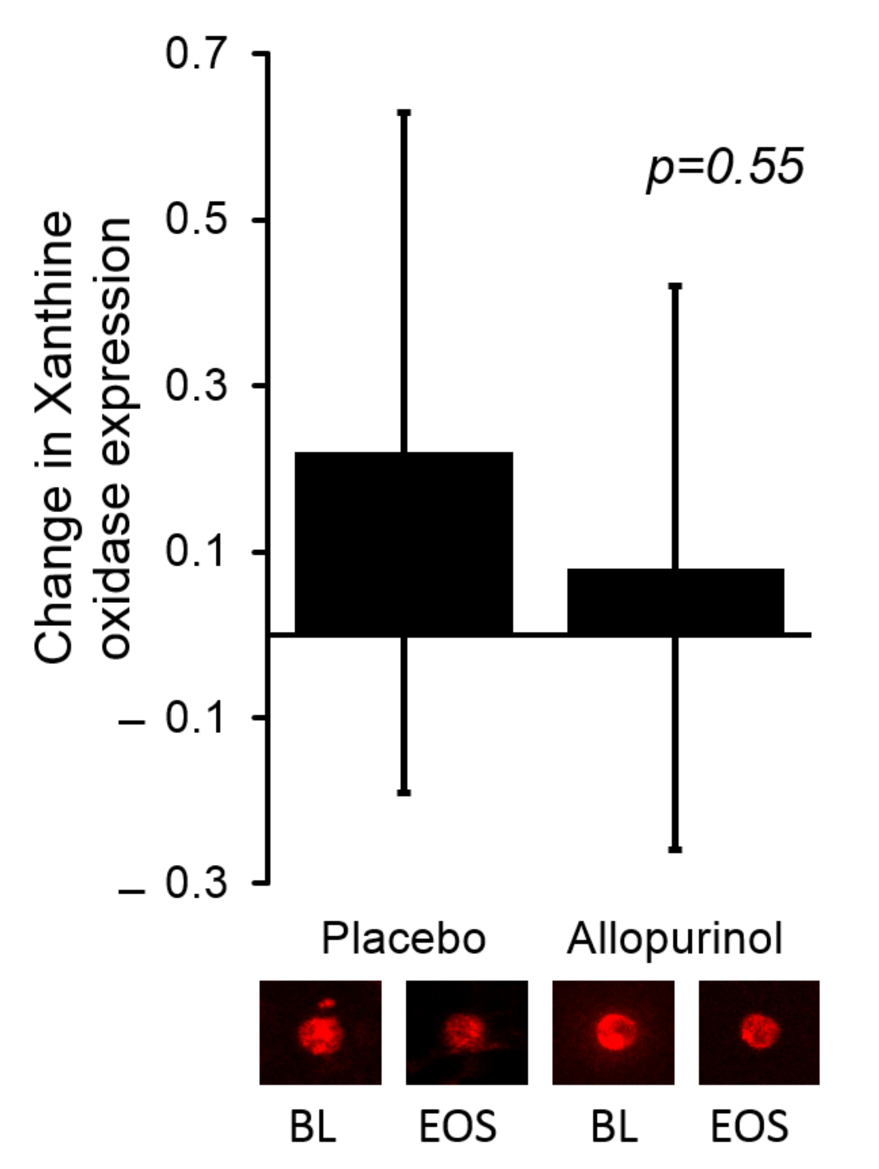 Antioxidants 11 01297 g001