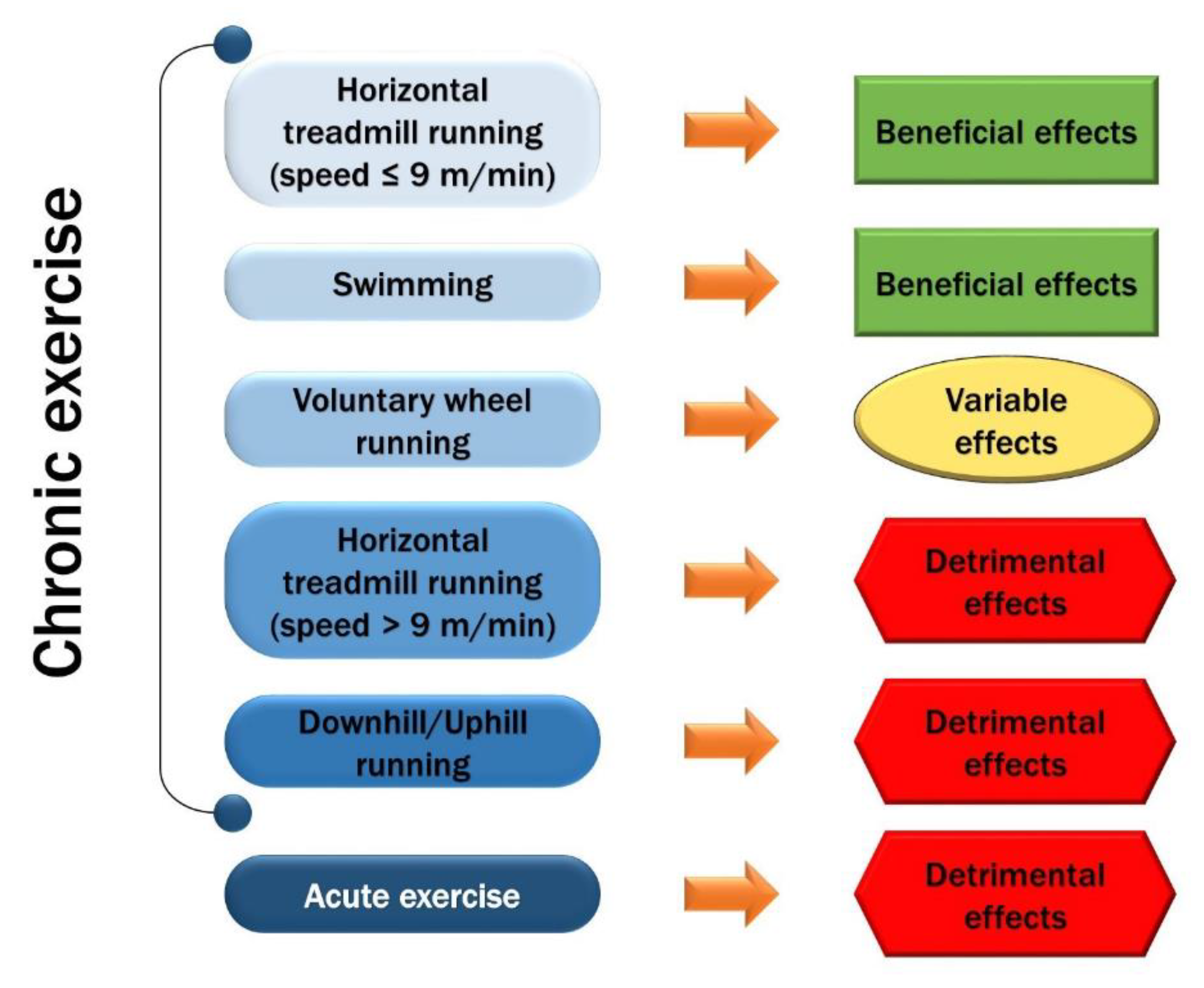 Antioxidants 11 01299 g003 Antioxidants 11 01299 g003