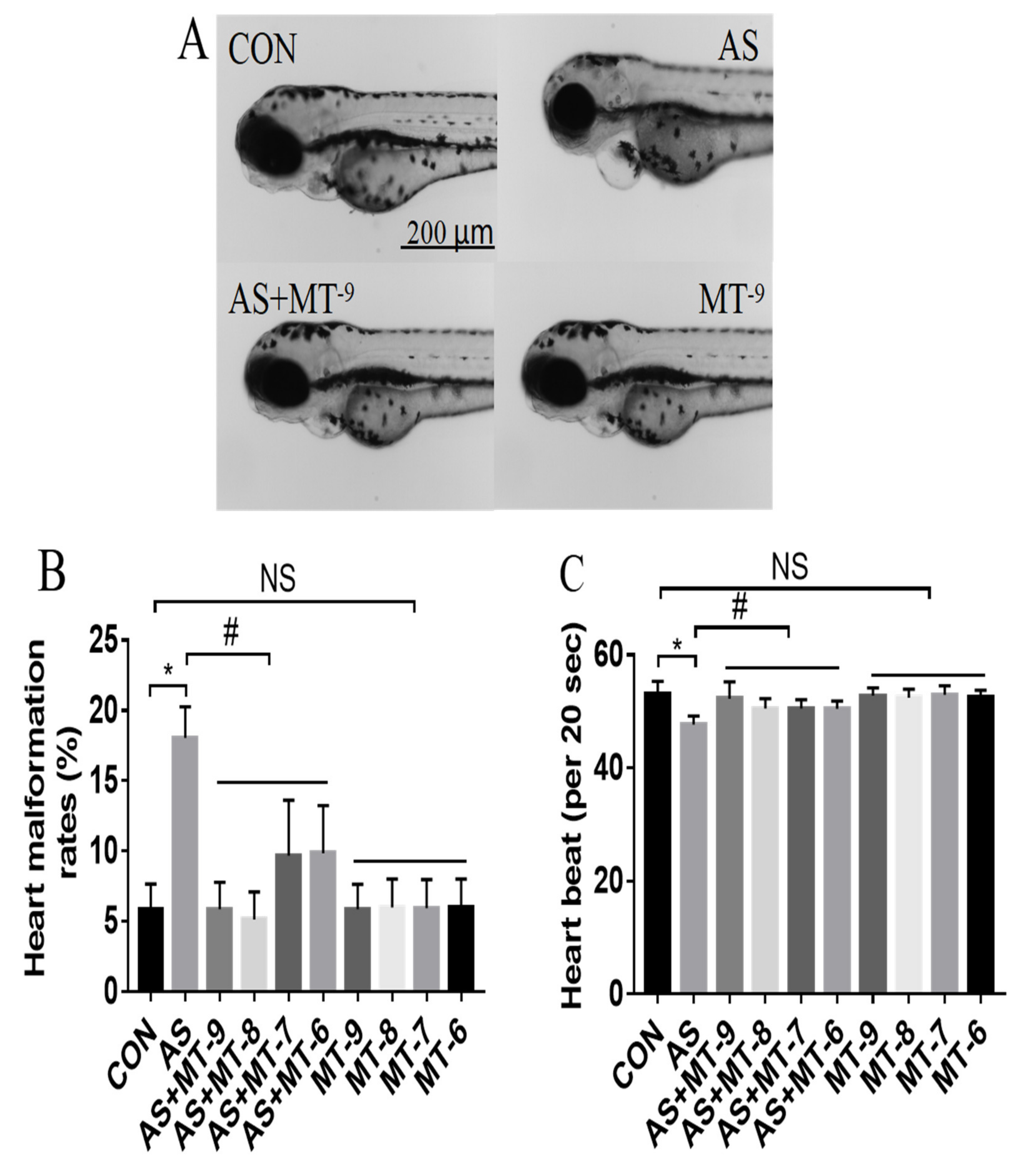Antioxidants 11 01301 g001