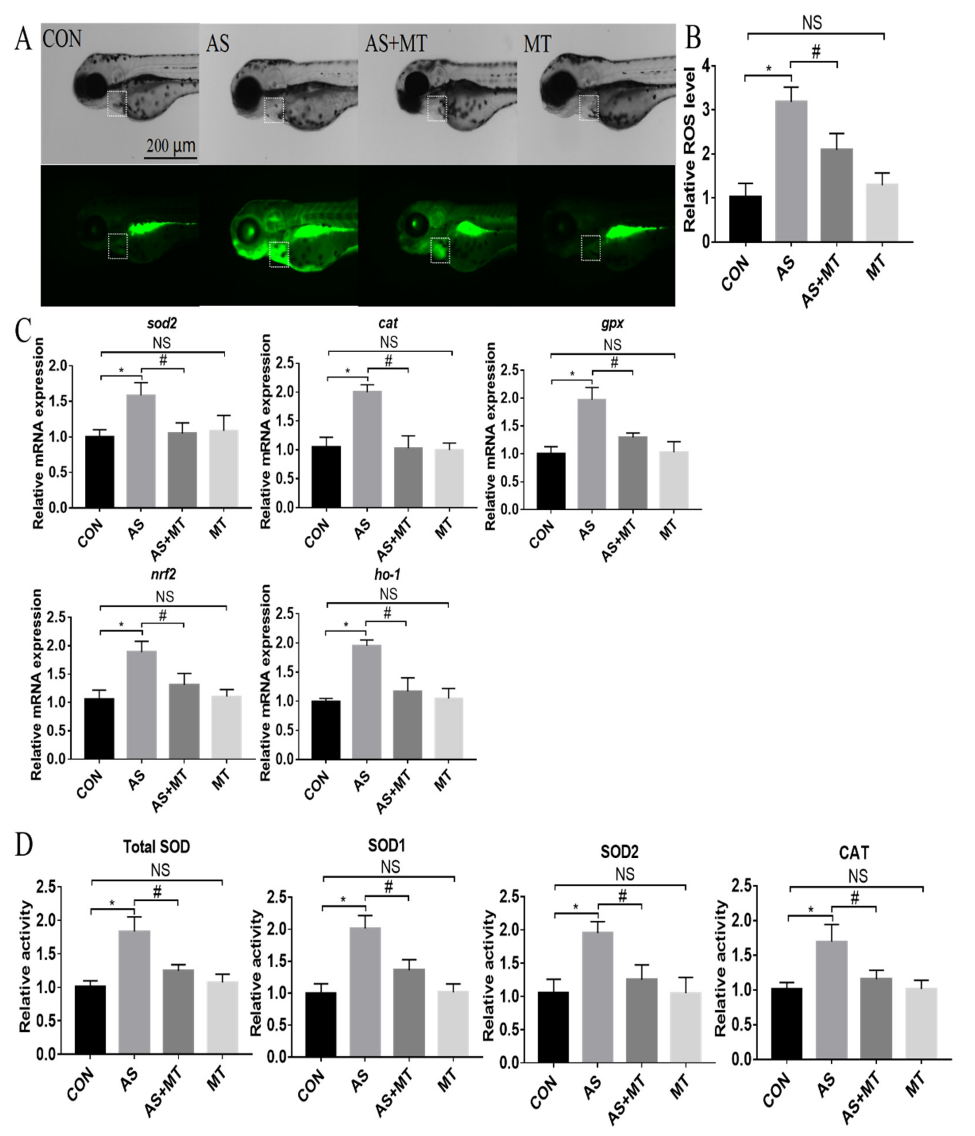 Antioxidants 11 01301 g002