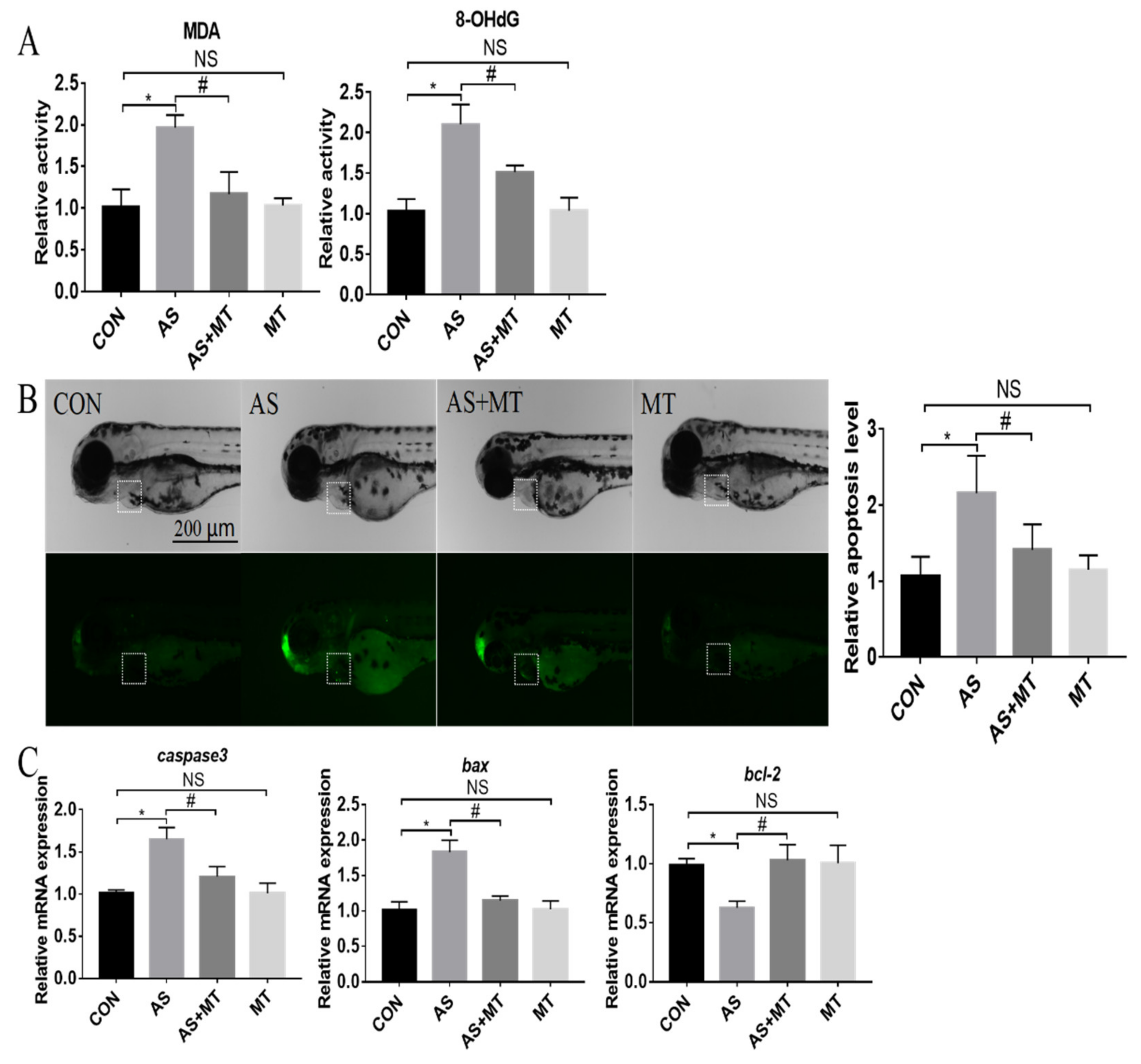 Antioxidants 11 01301 g003