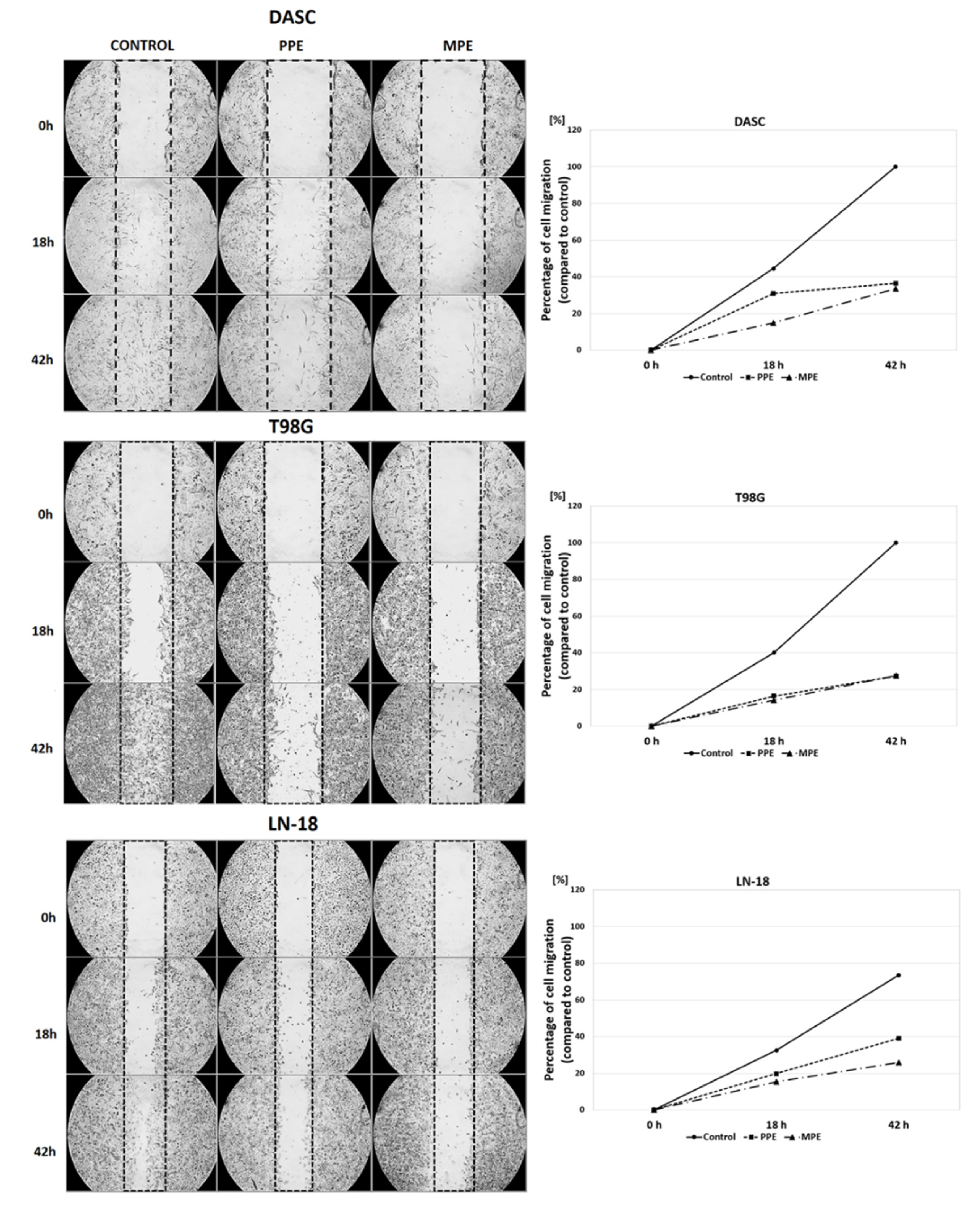 Antioxidants 11 01305 g003
