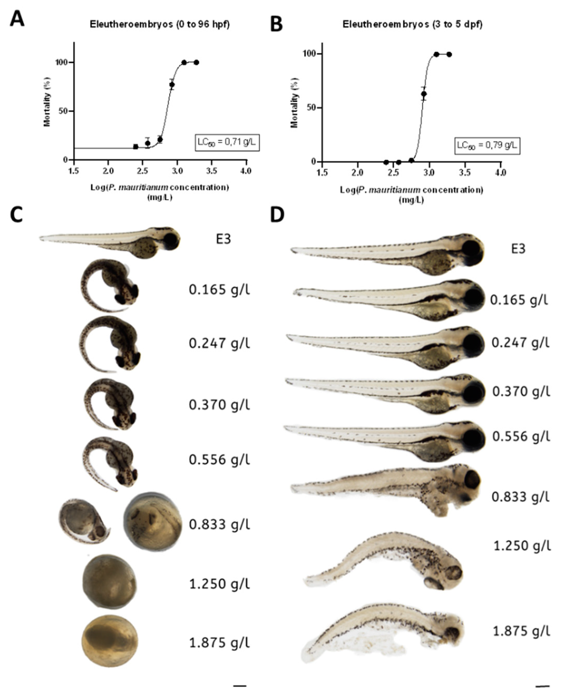 Antioxidants 11 01309 g002 Antioxidants 11 01309 g002