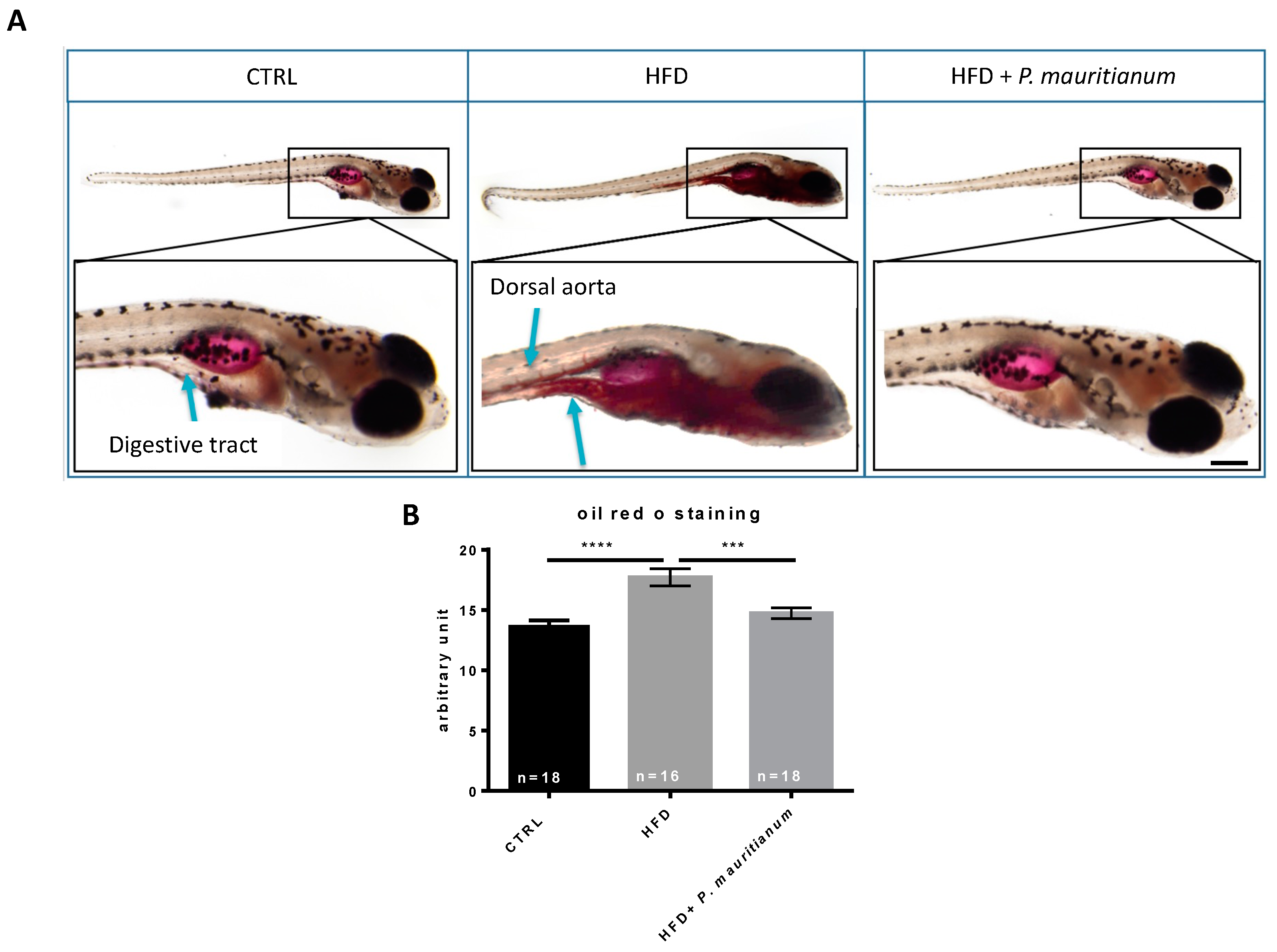 Antioxidants 11 01309 g004 Antioxidants 11 01309 g004
