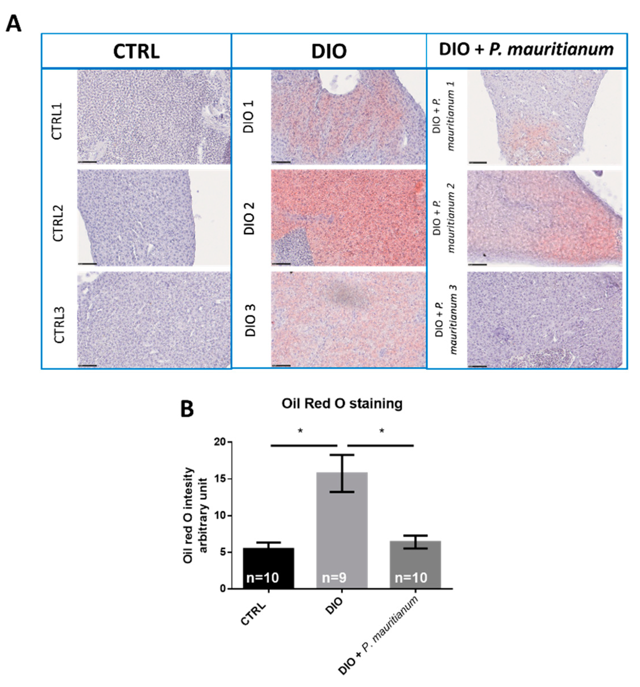Antioxidants 11 01309 g006 Antioxidants 11 01309 g006